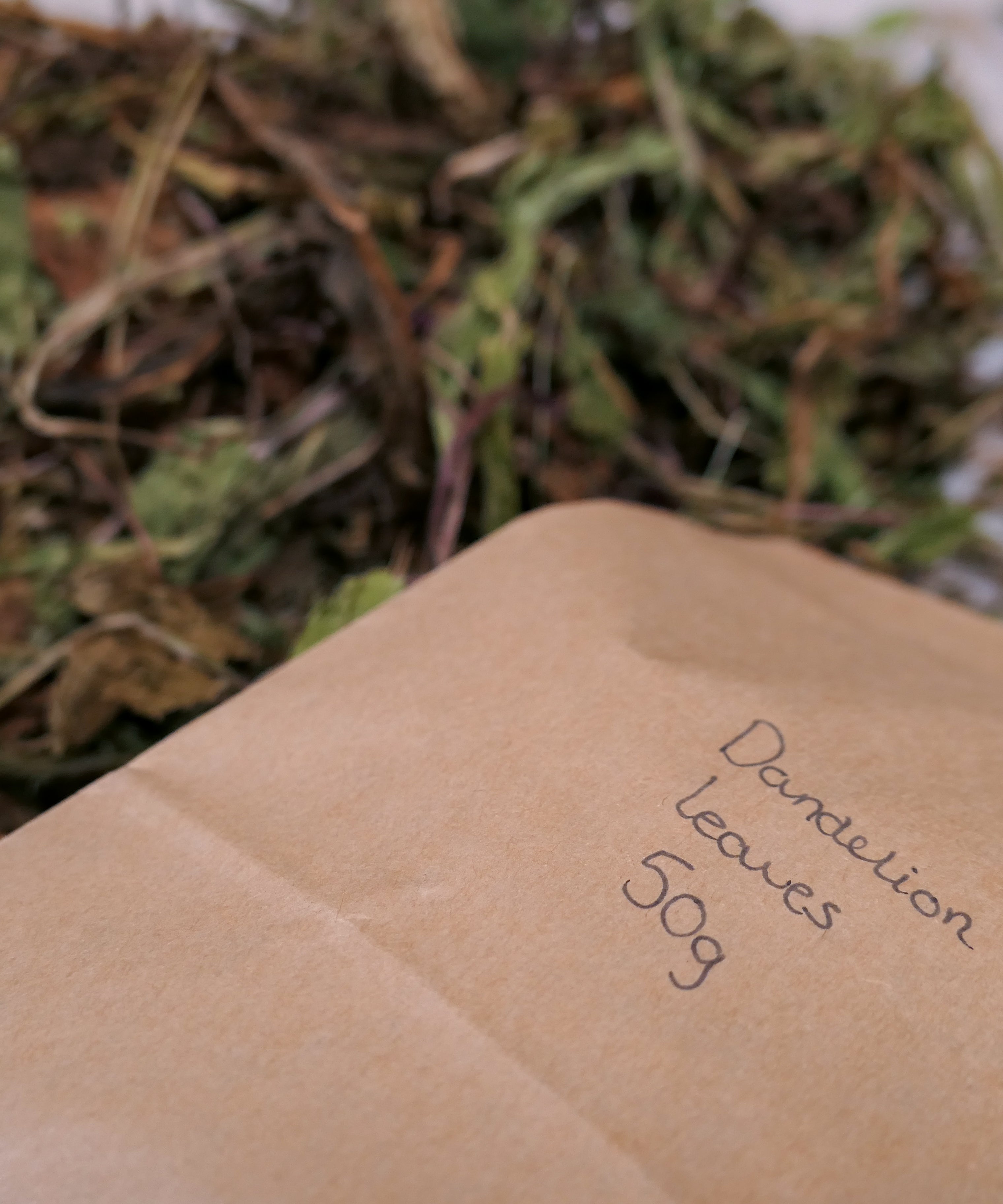 Bunny Forage - Dandelion leaves