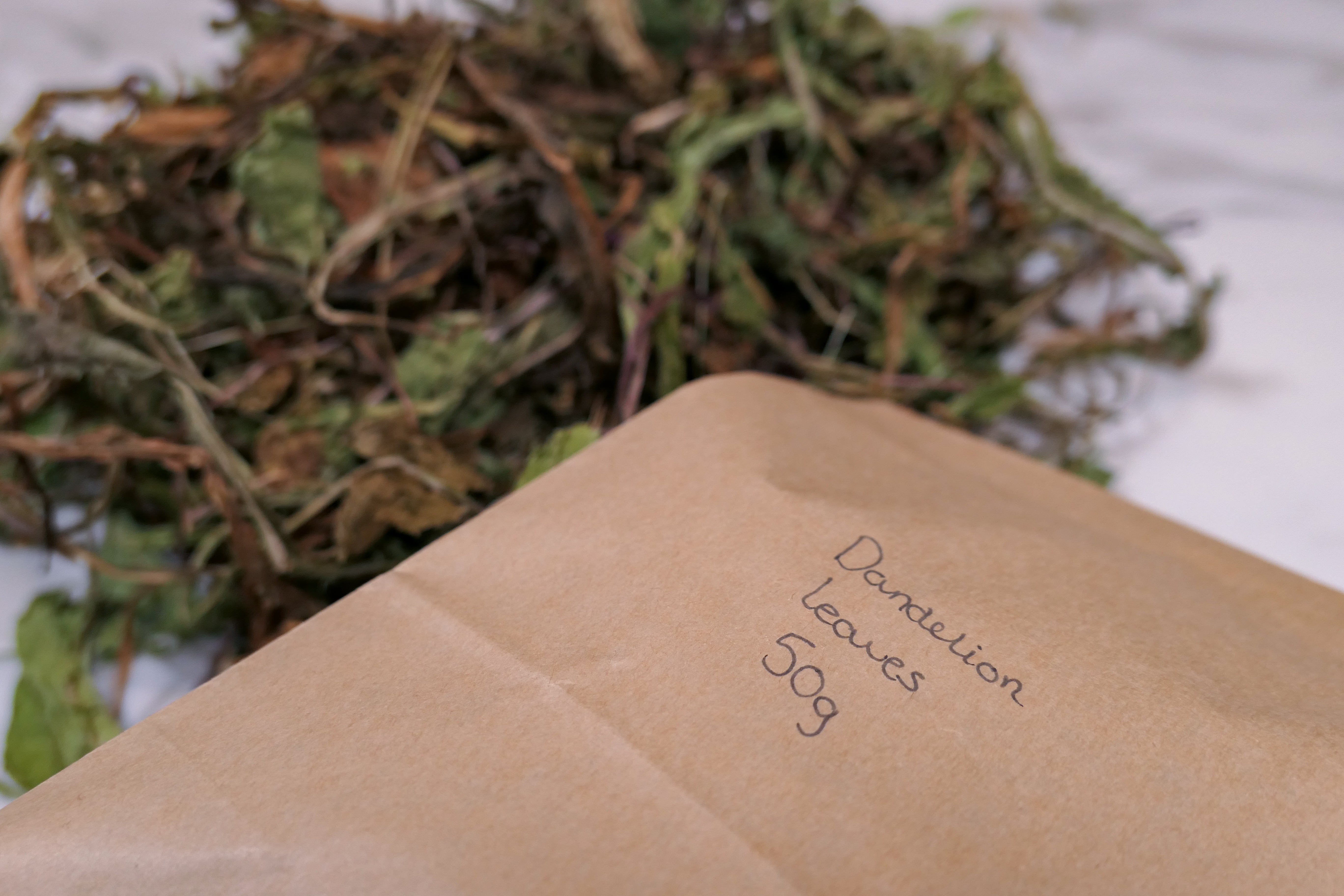 Bunny Forage - Dandelion leaves