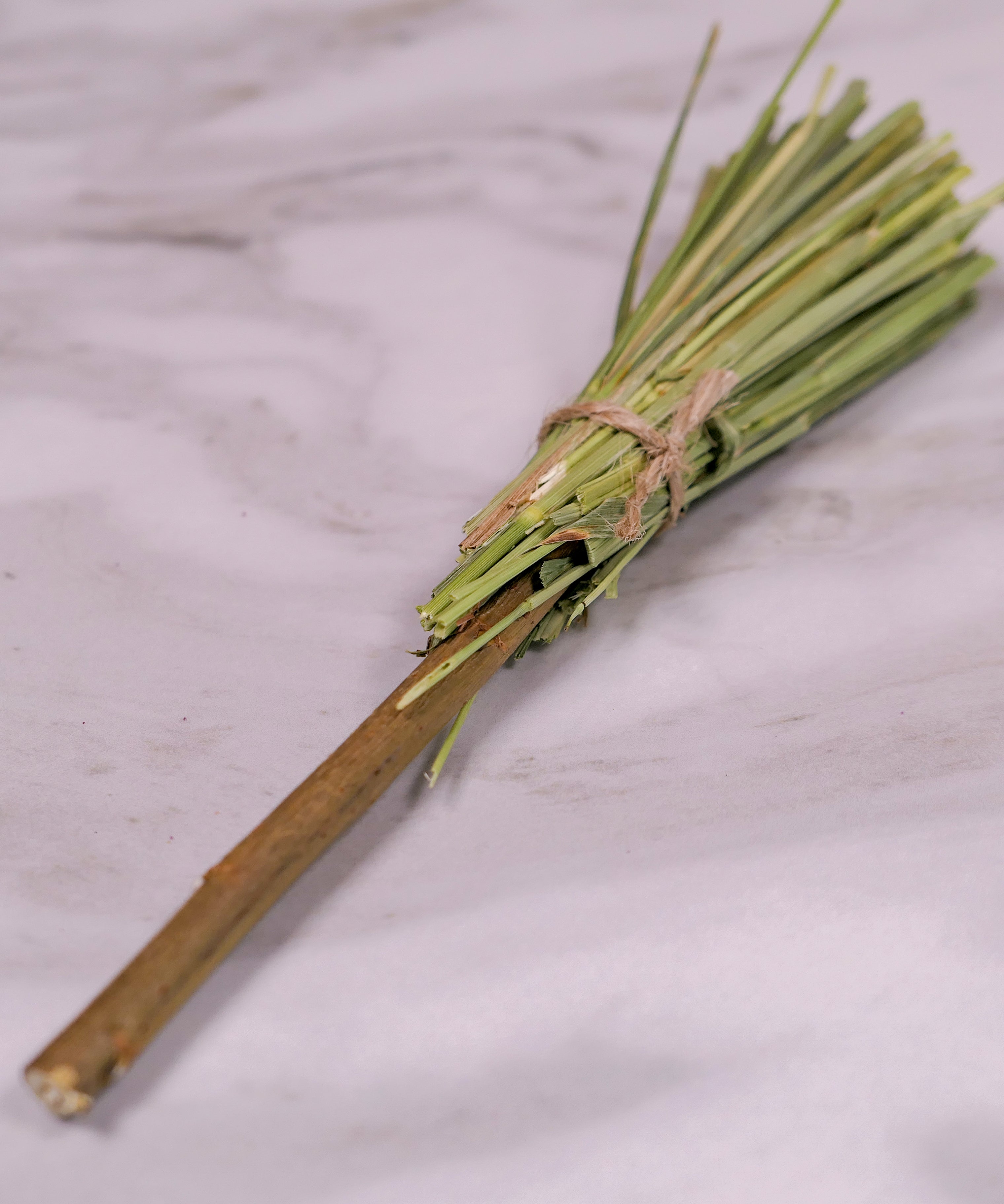 Halloween Witch's Timothy Hay Broomstick
