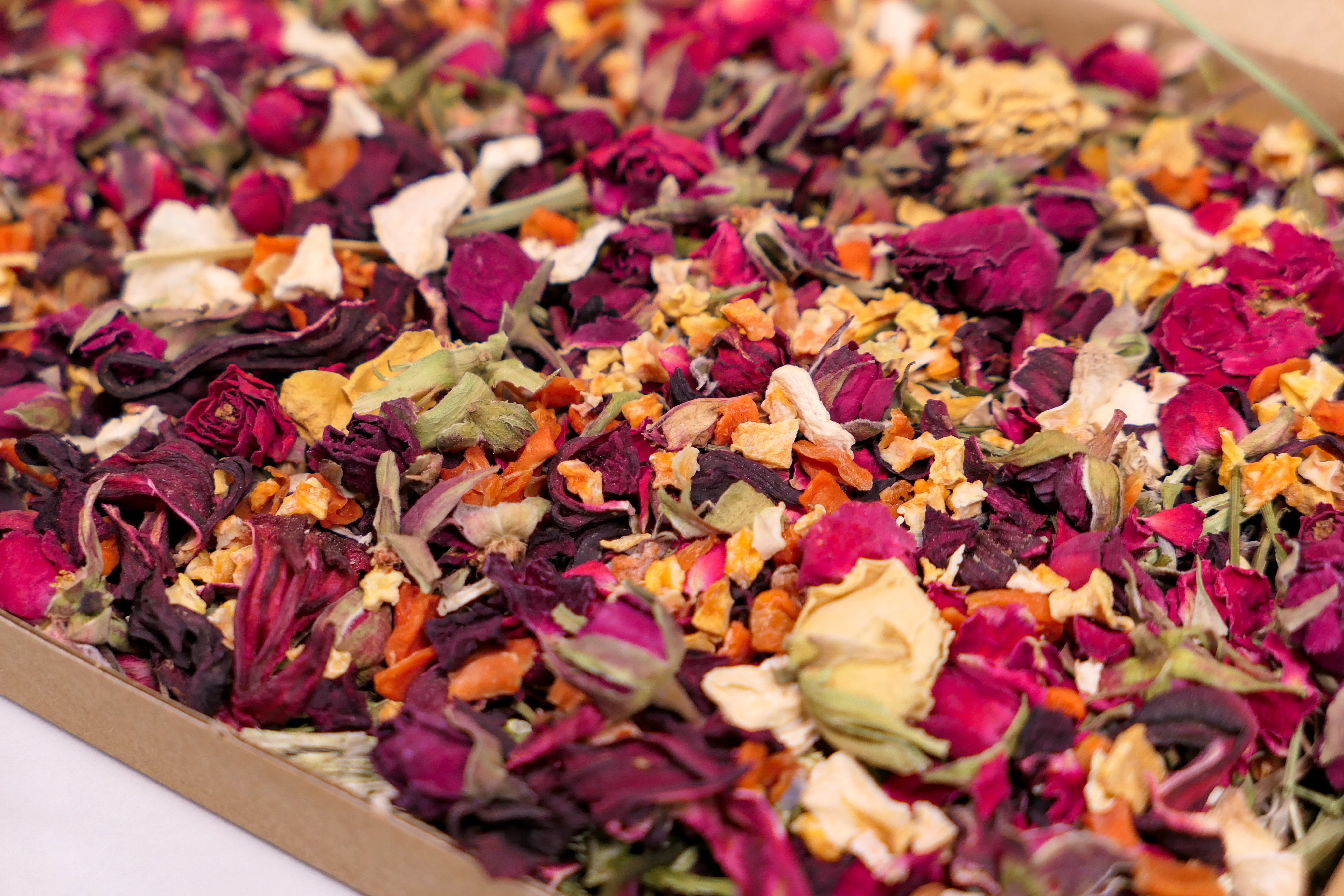 Trick or Treat Forage Box