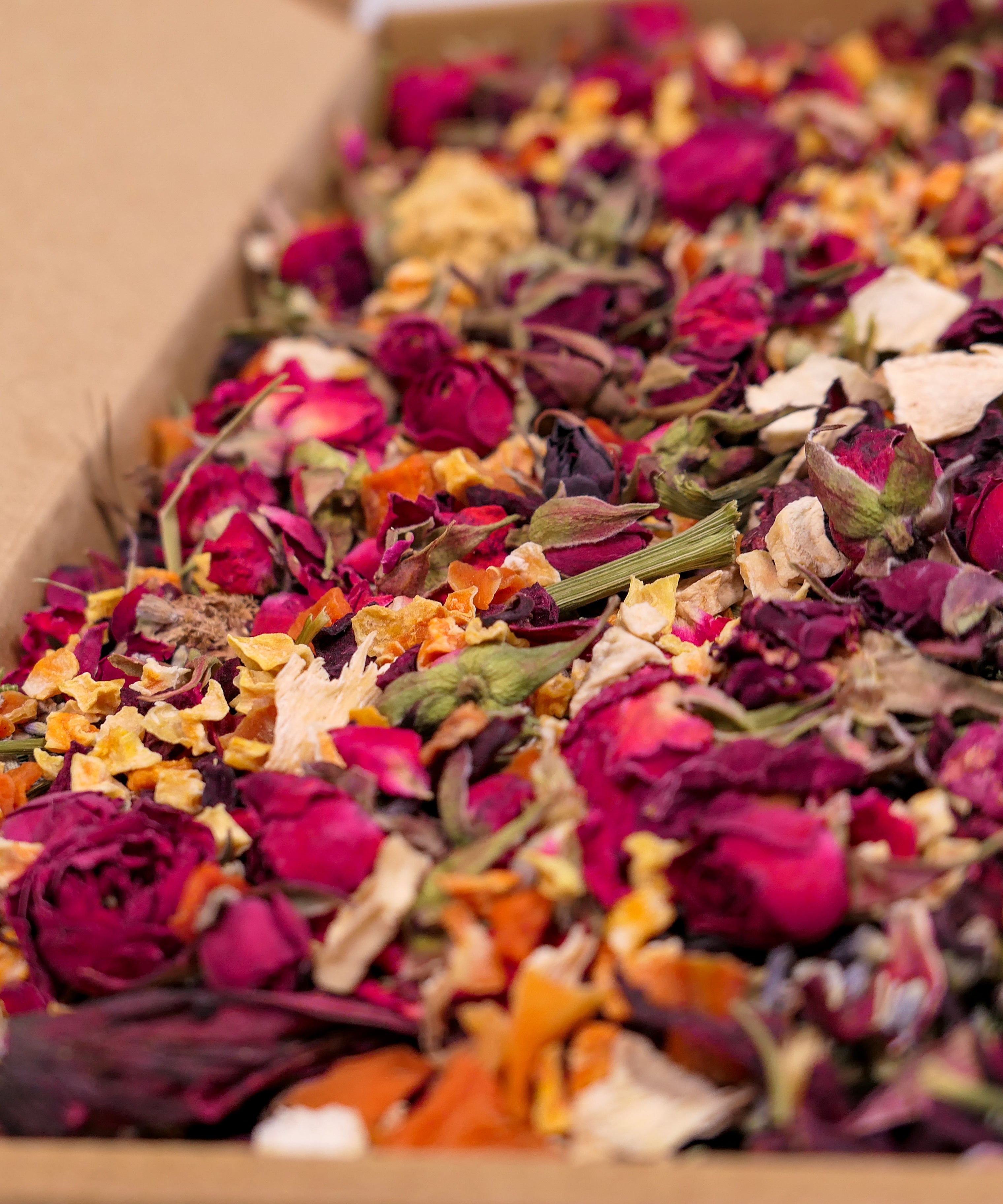 Trick or Treat Forage Box