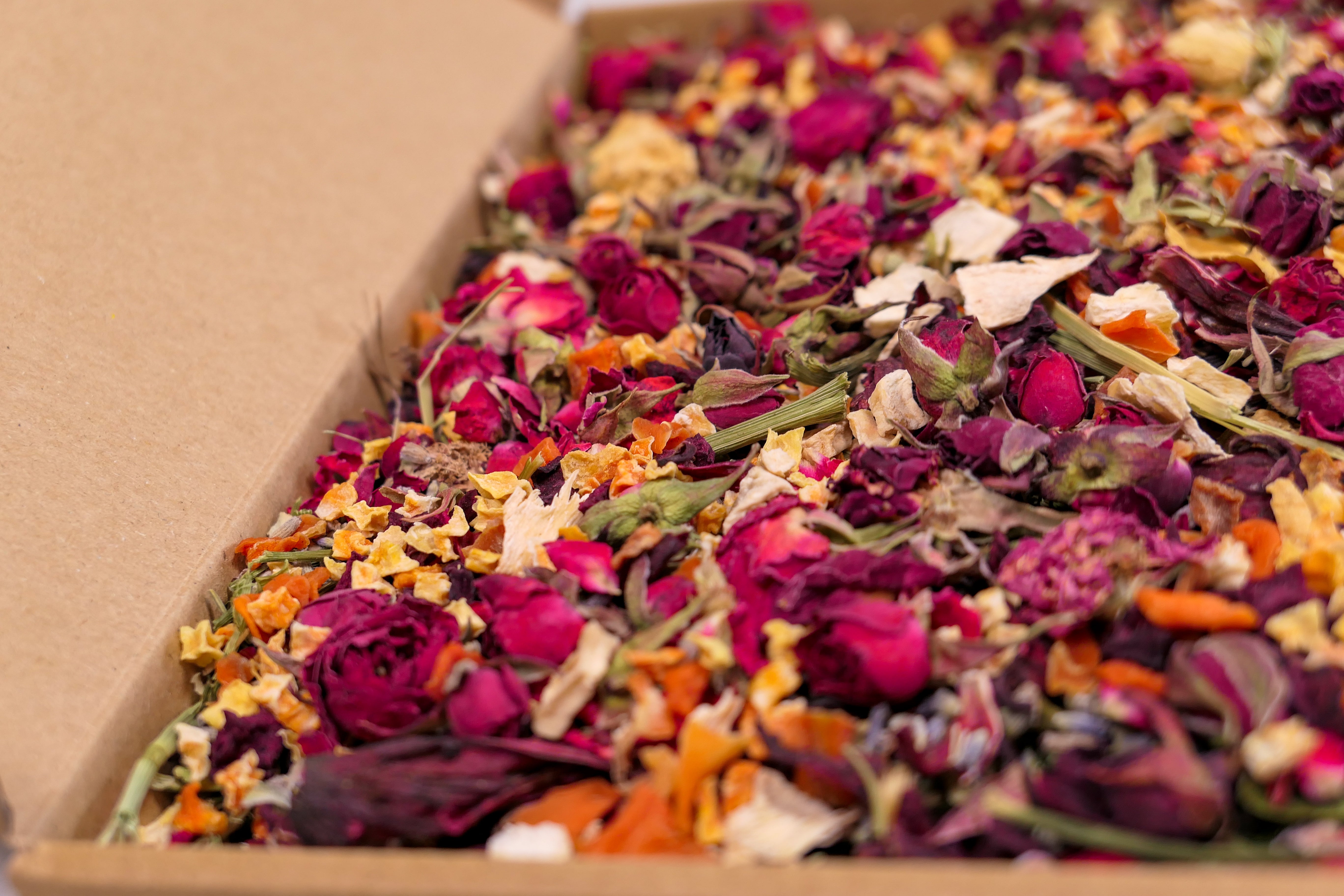 Trick or Treat Forage Box