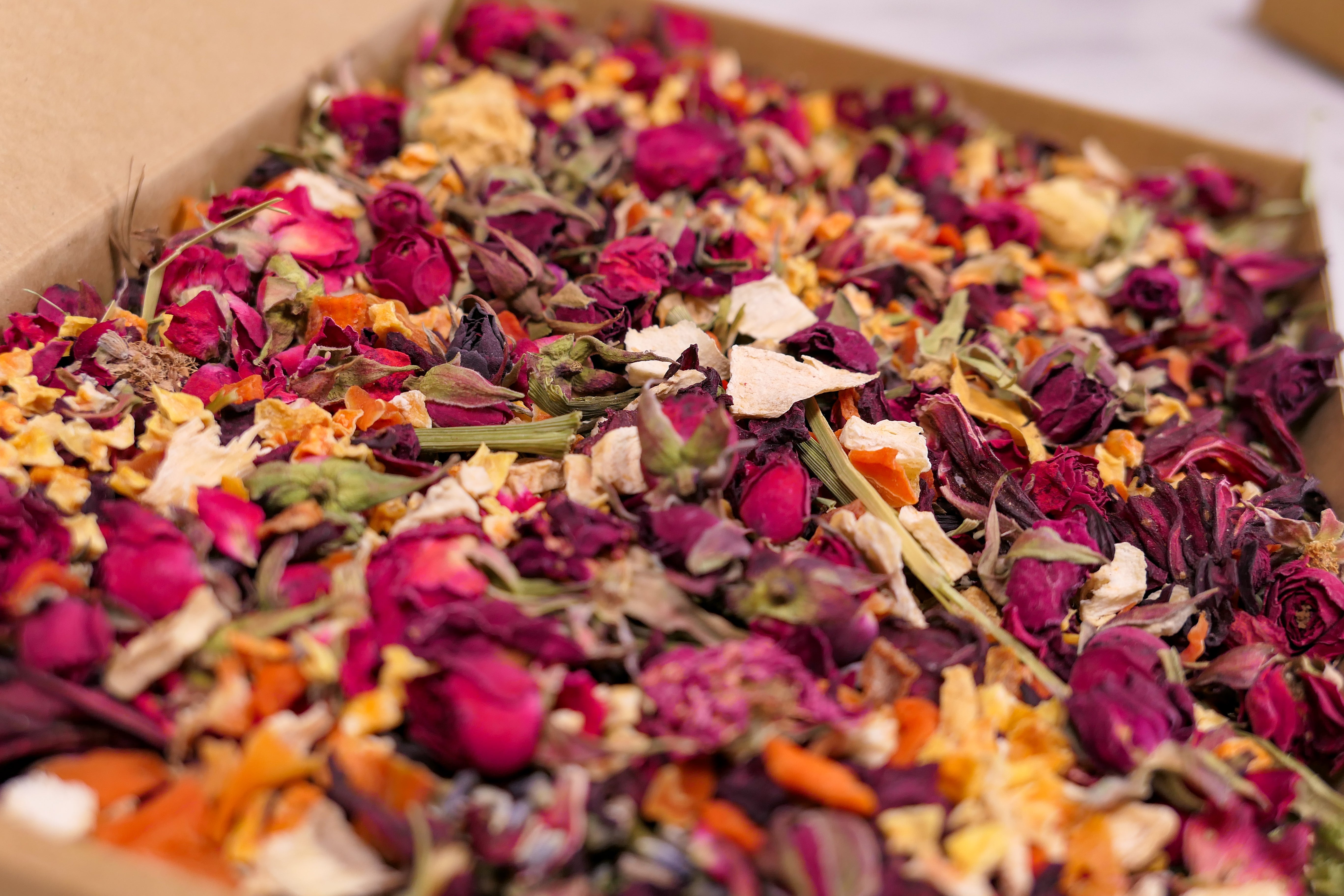 Trick or Treat Forage Box