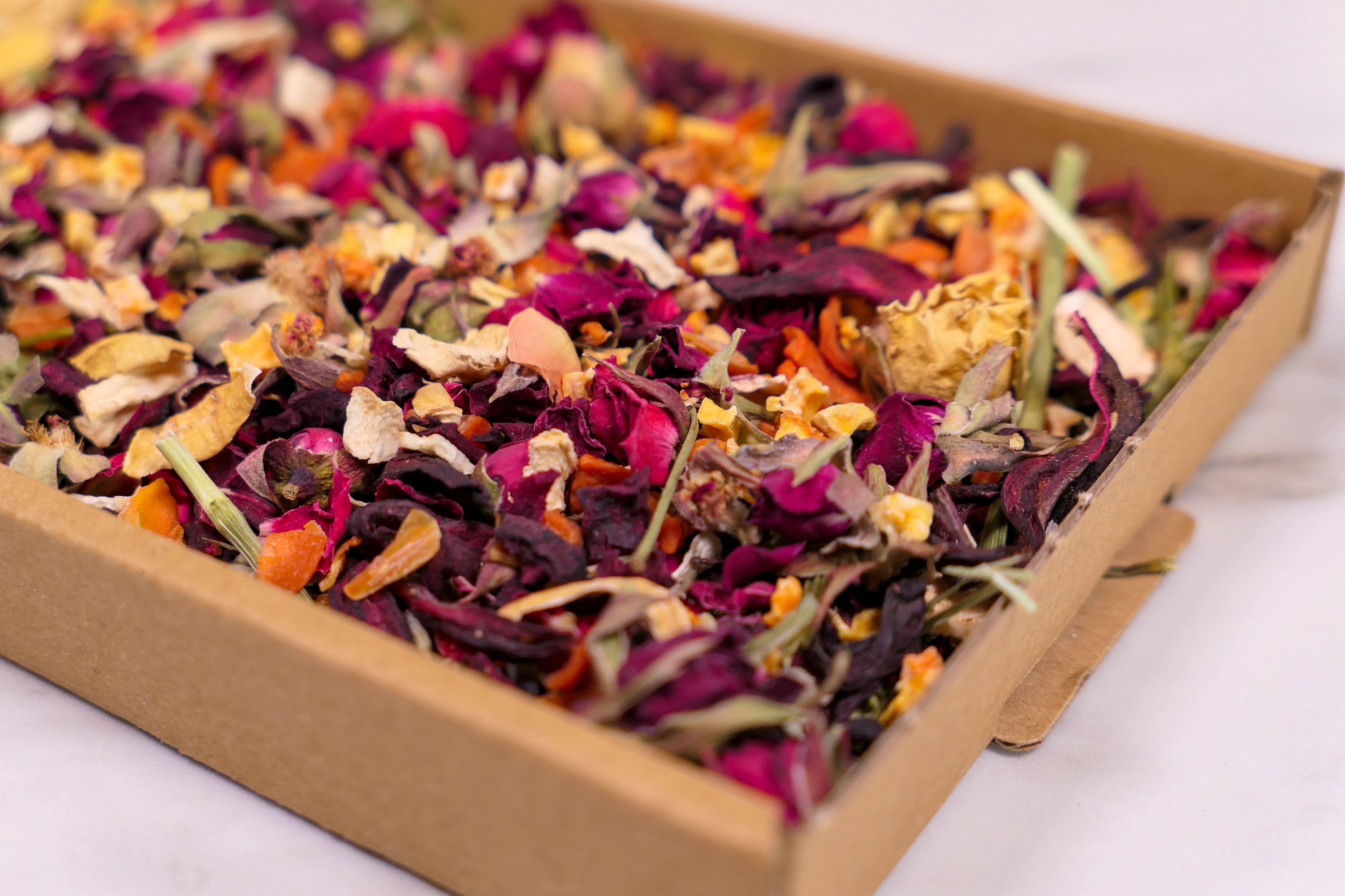 Trick or Treat Mini Forage Box