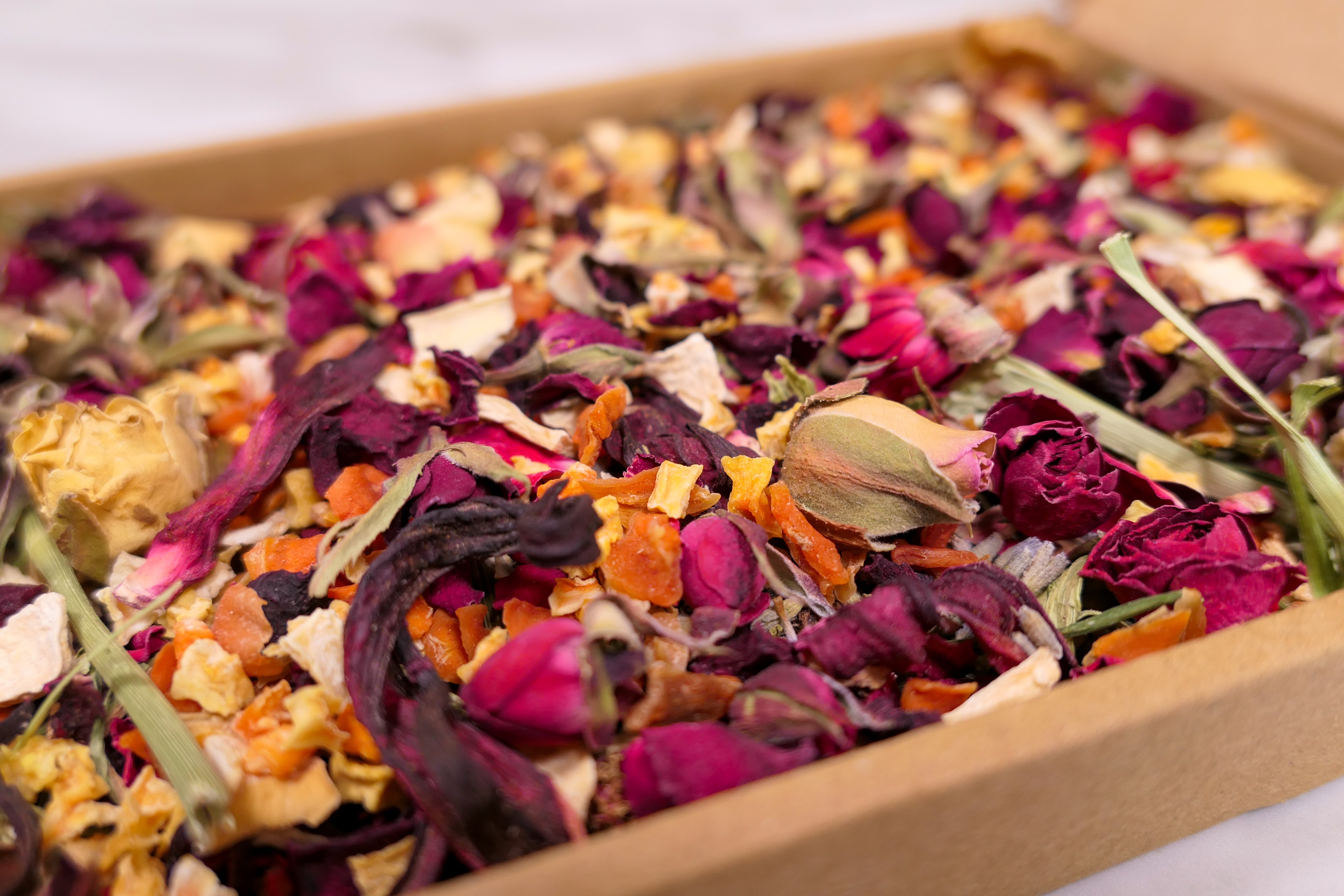 Trick or Treat Mini Forage Box