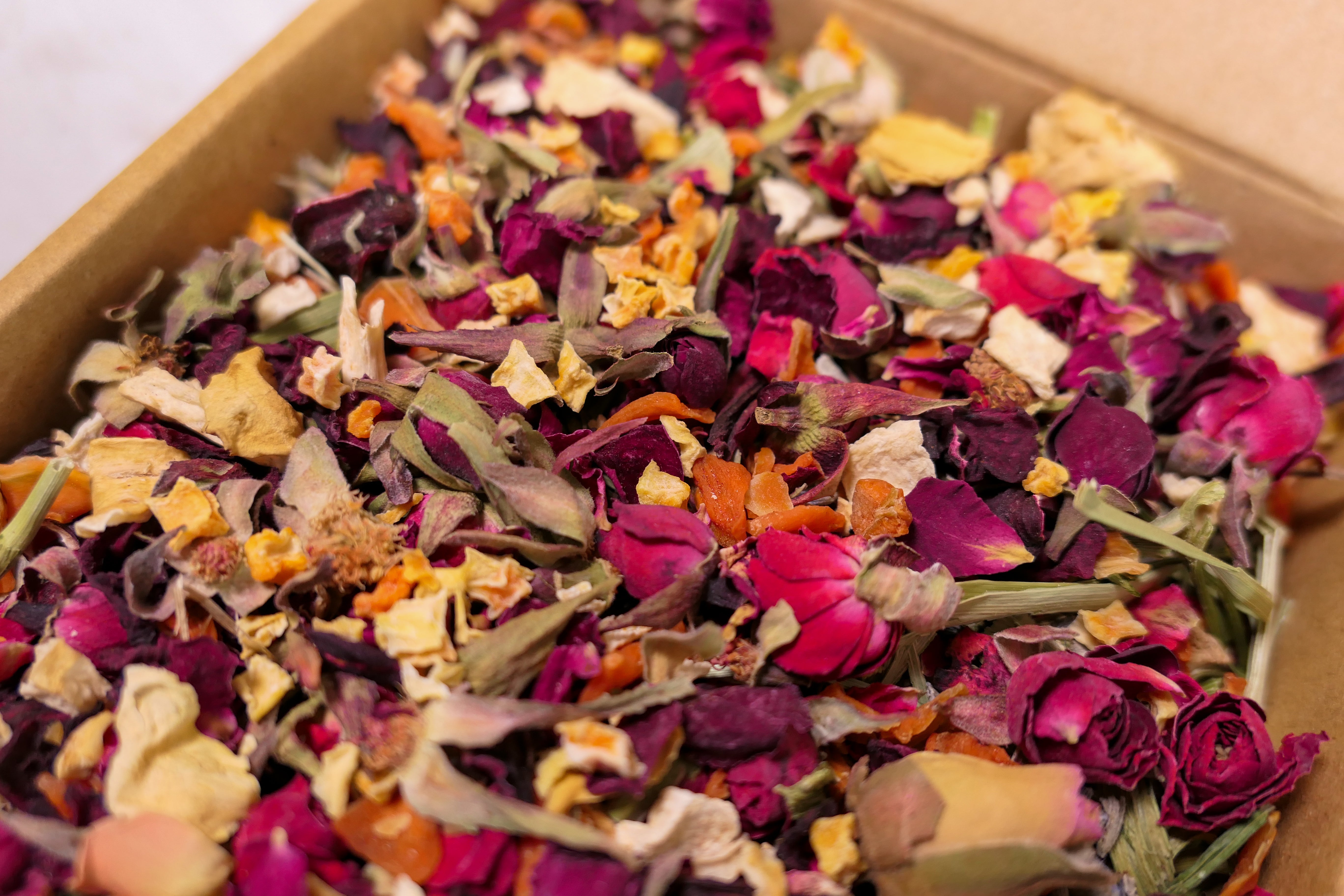 Trick or Treat Mini Forage Box