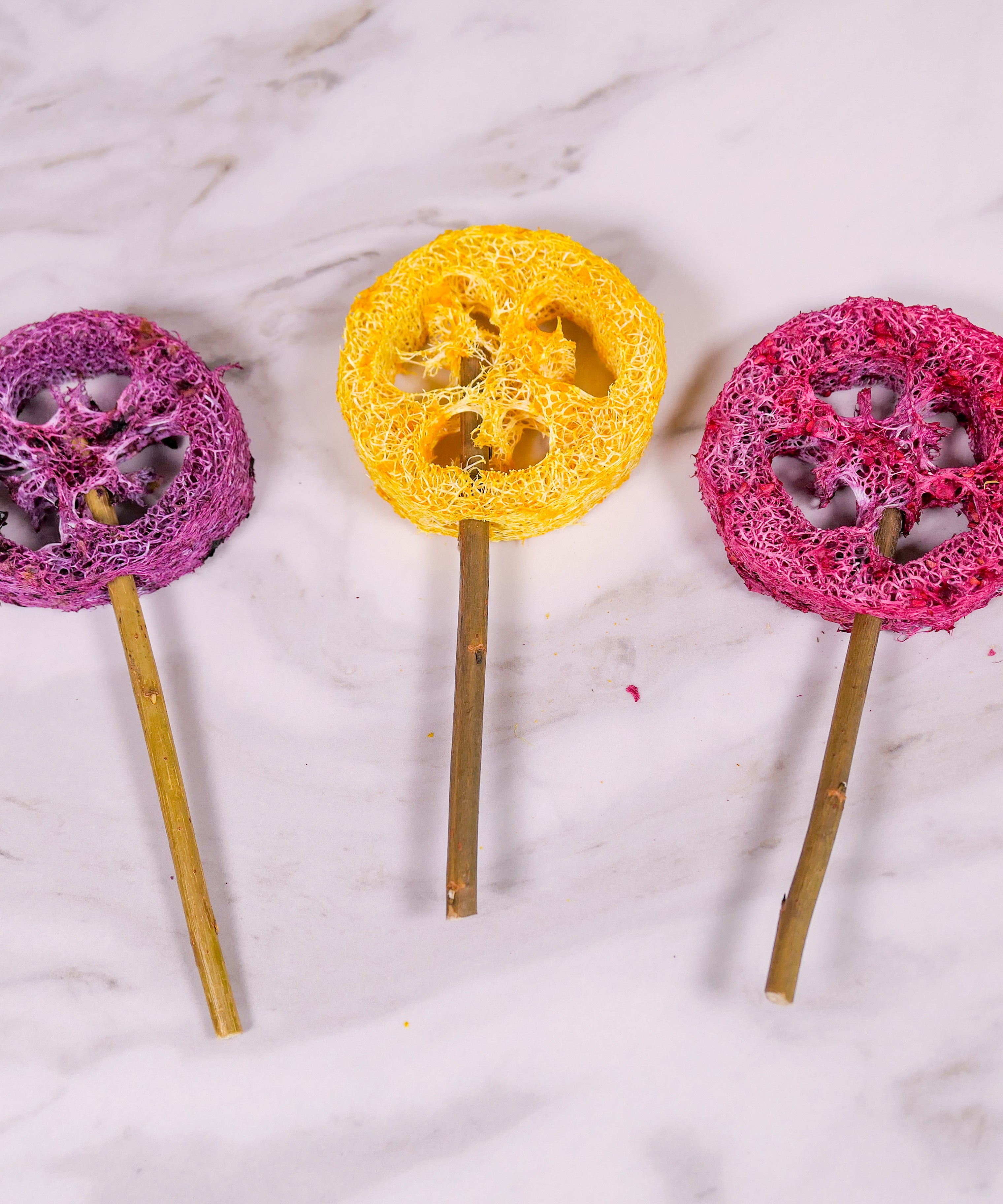 Halloween Spooky Loofah Pops