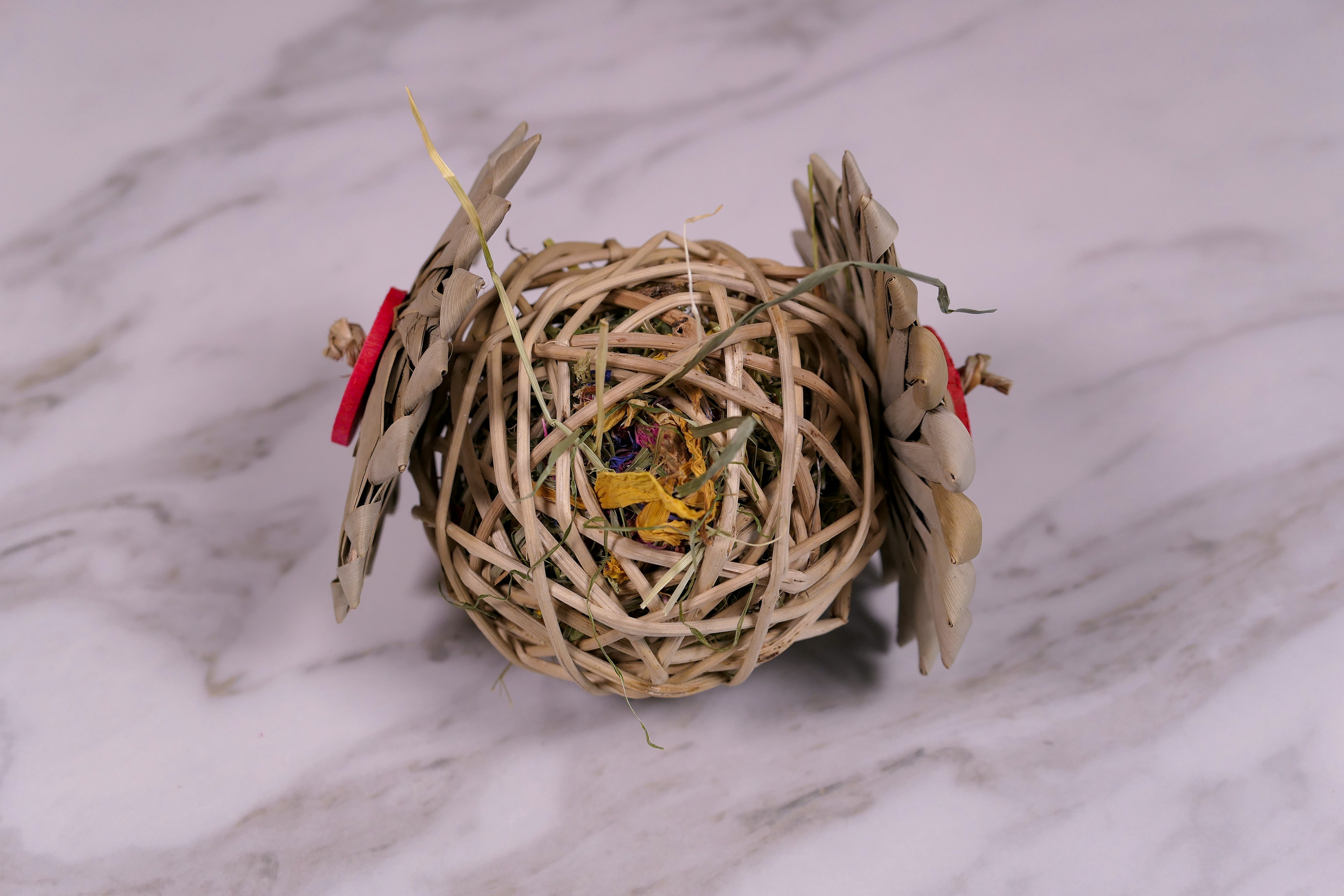 Palm Vine Forage Toy