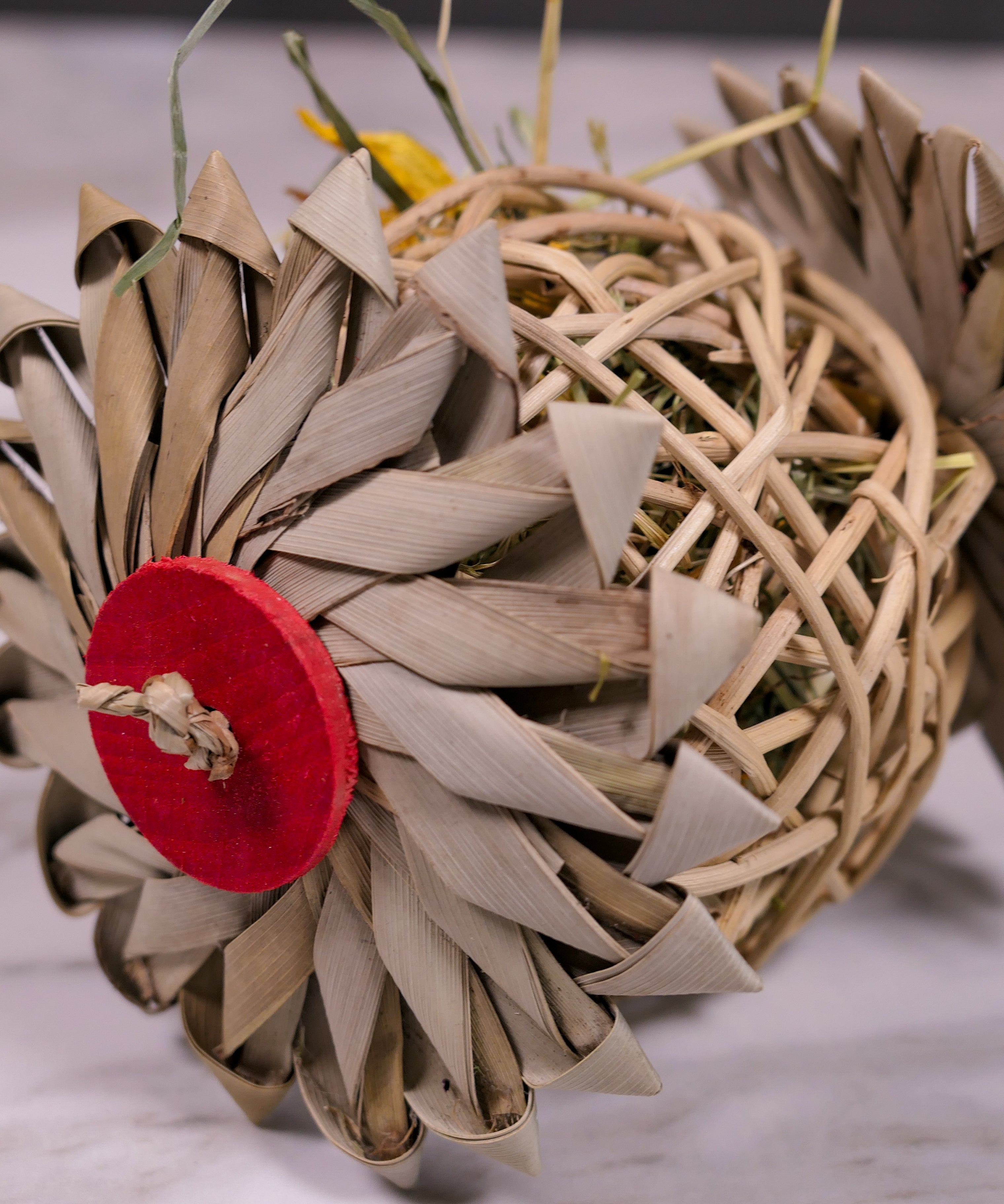 Palm Vine Forage Toy