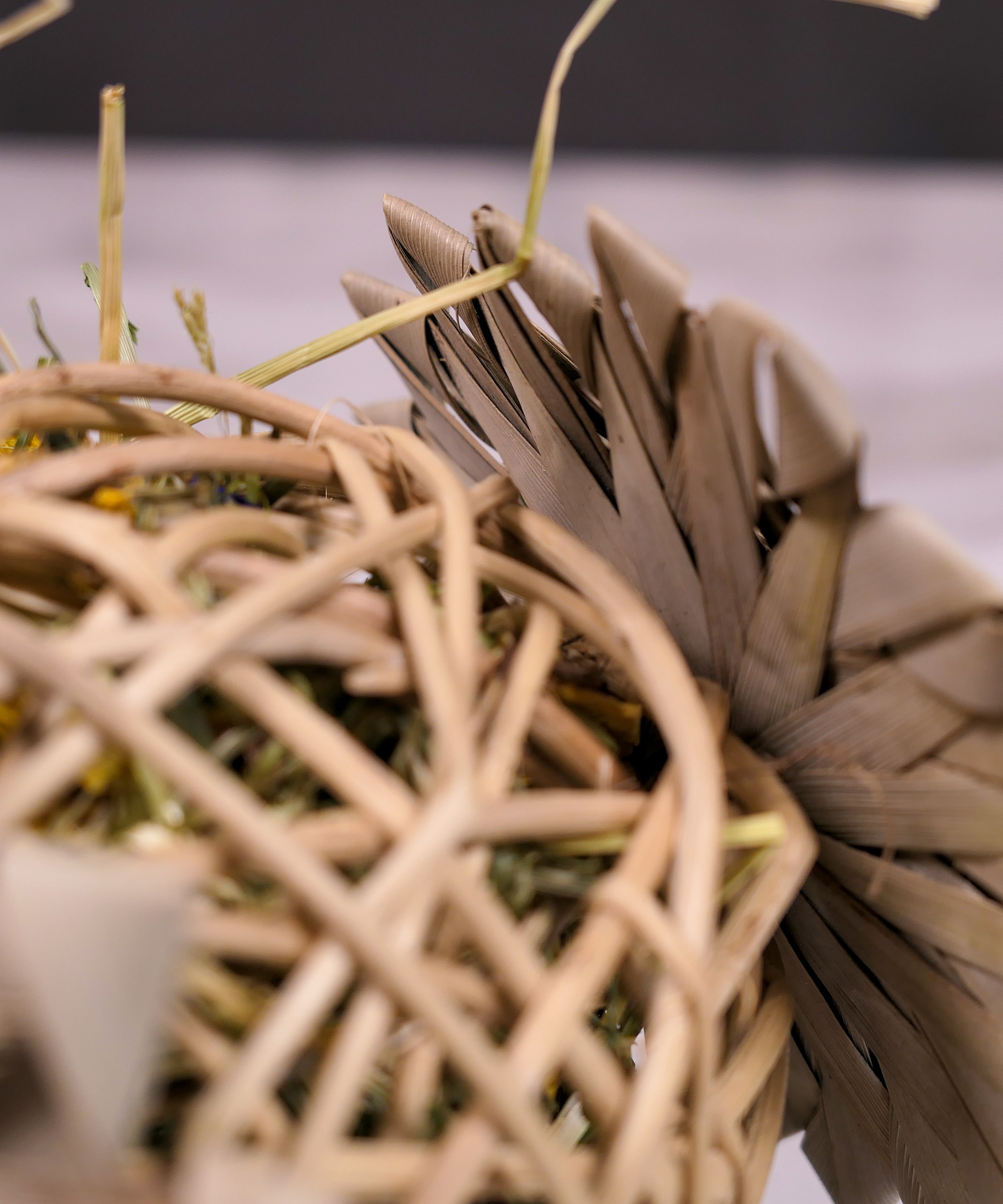 Palm Vine Forage Toy