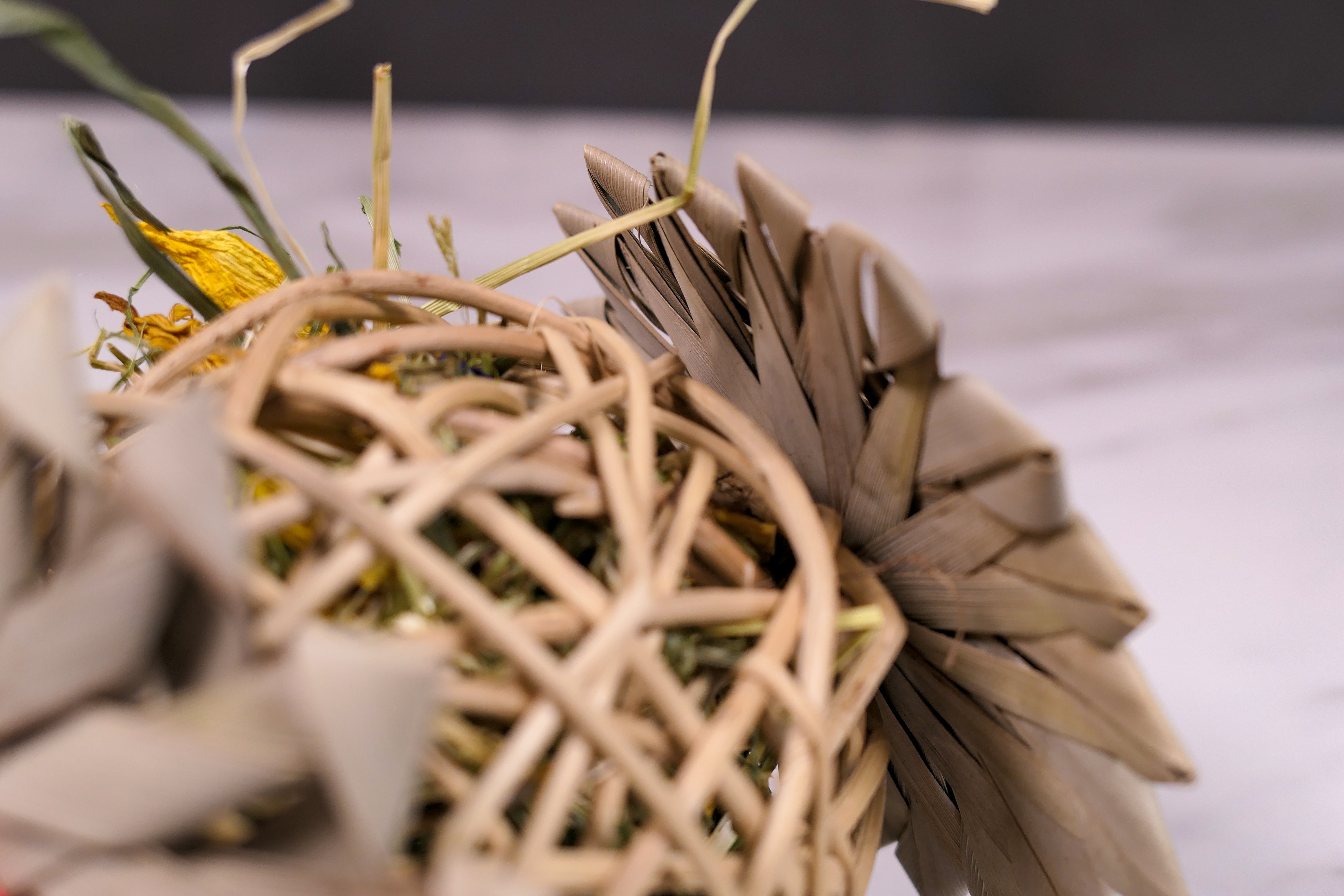 Palm Vine Forage Toy