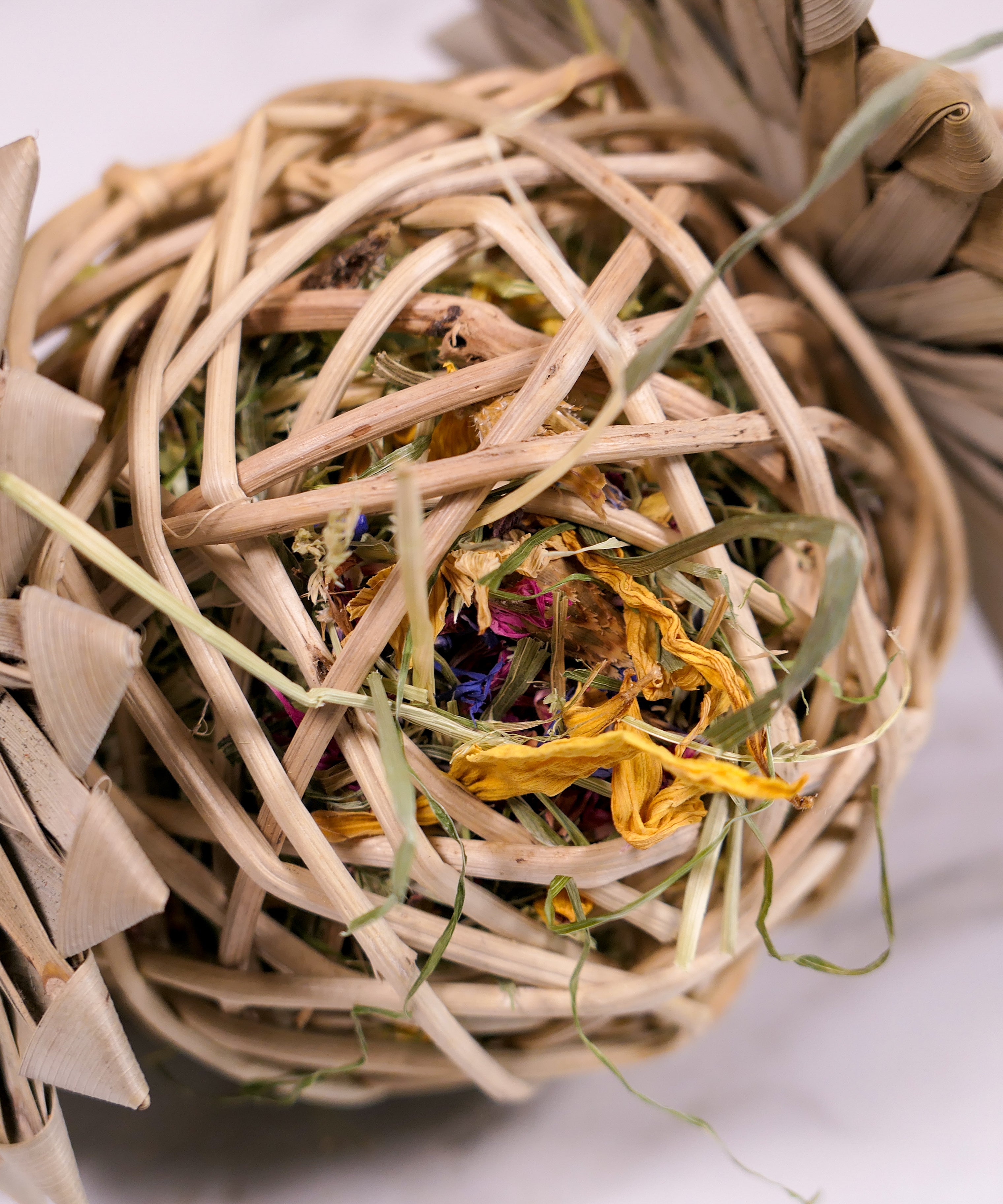 Palm Vine Forage Toy