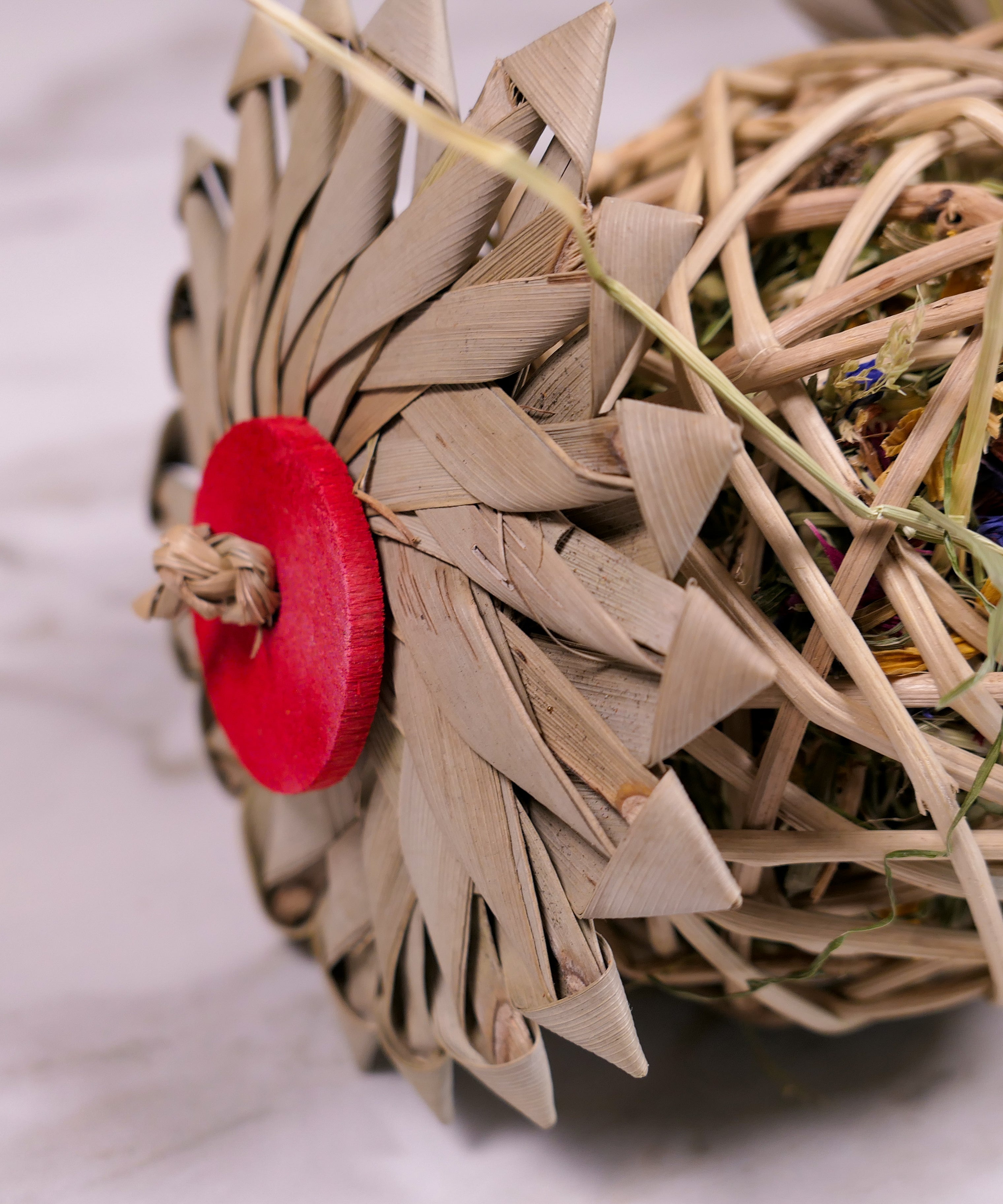 Palm Vine Forage Toy