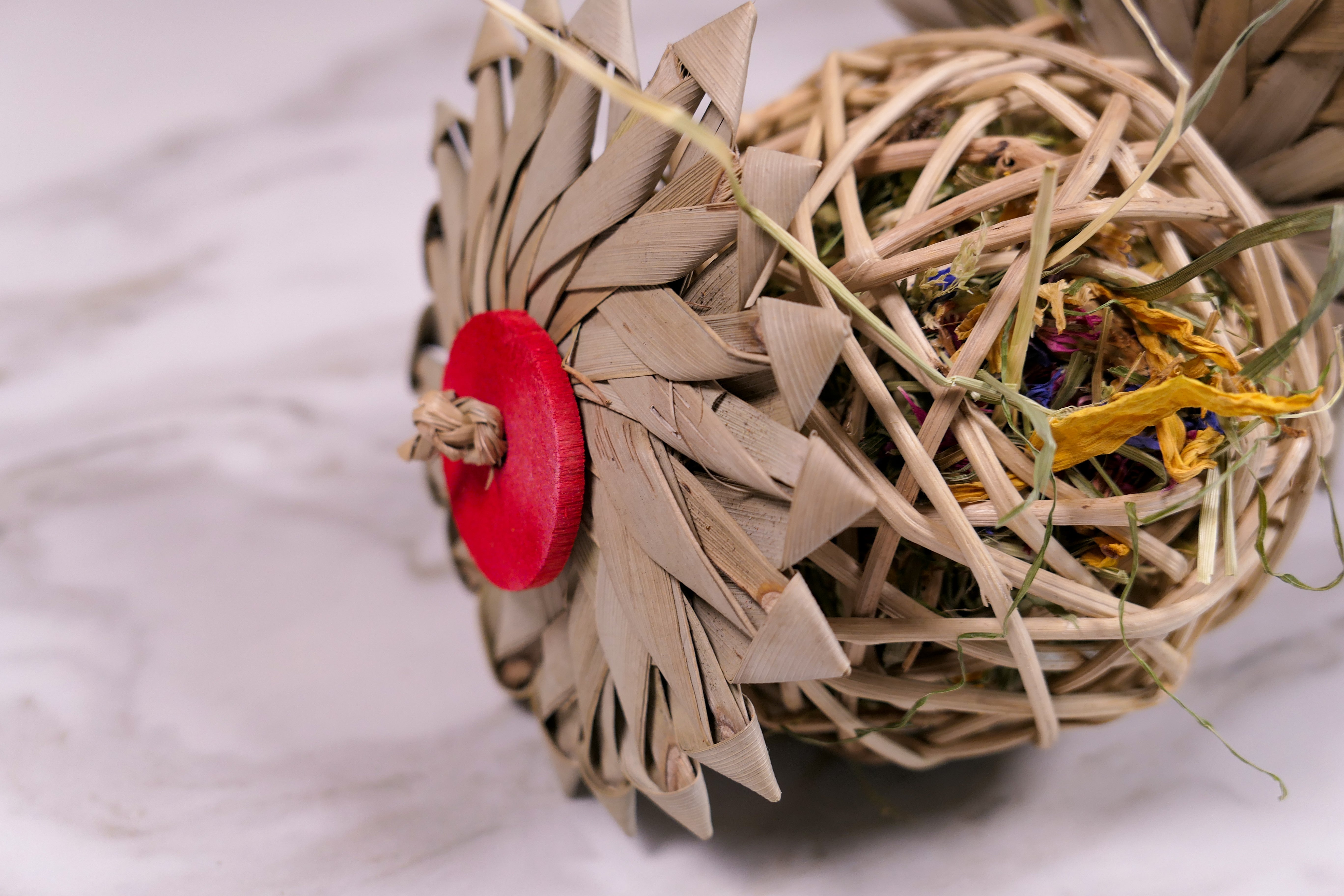 Palm Vine Forage Toy