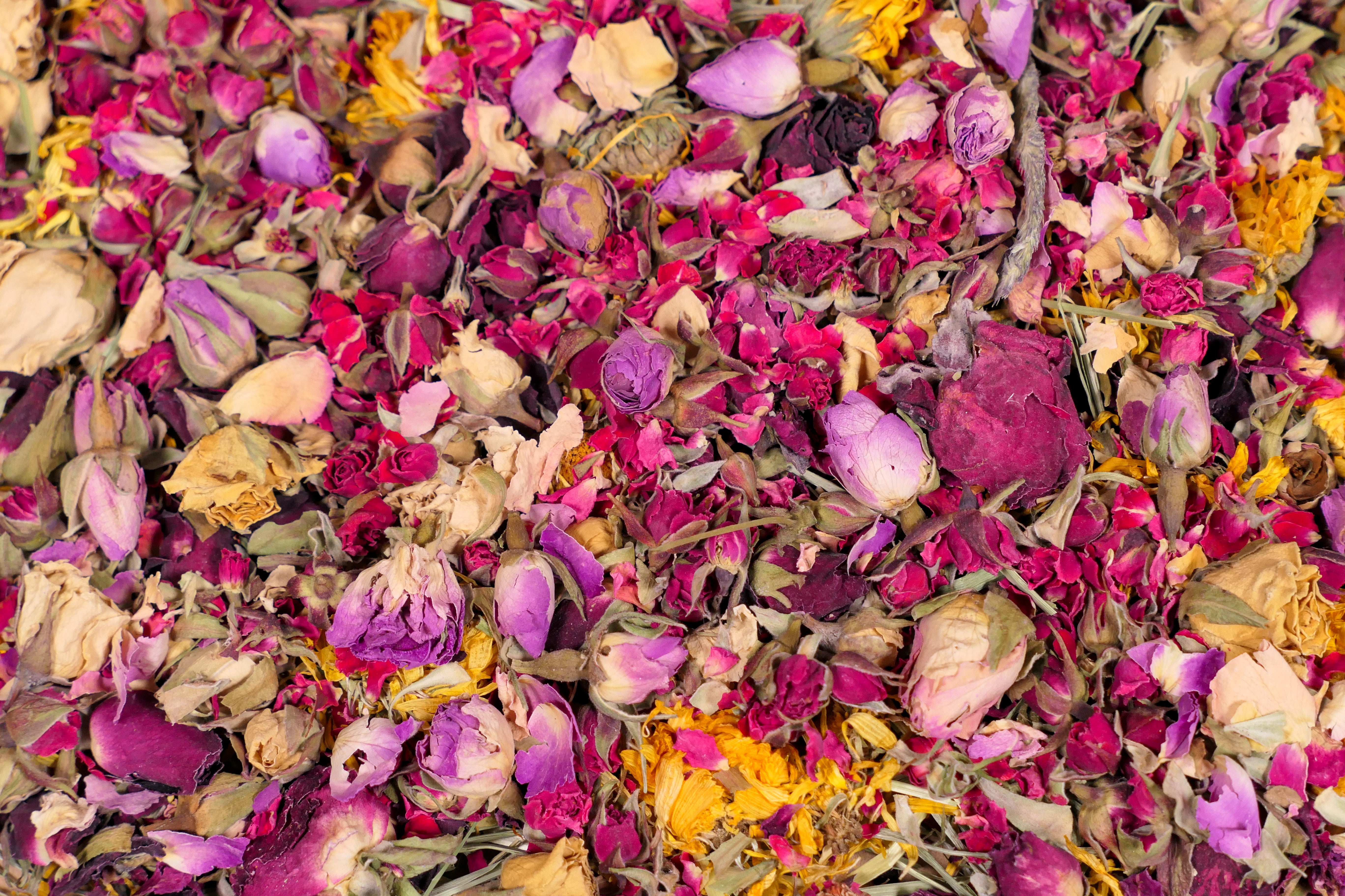 Valentine Forage box