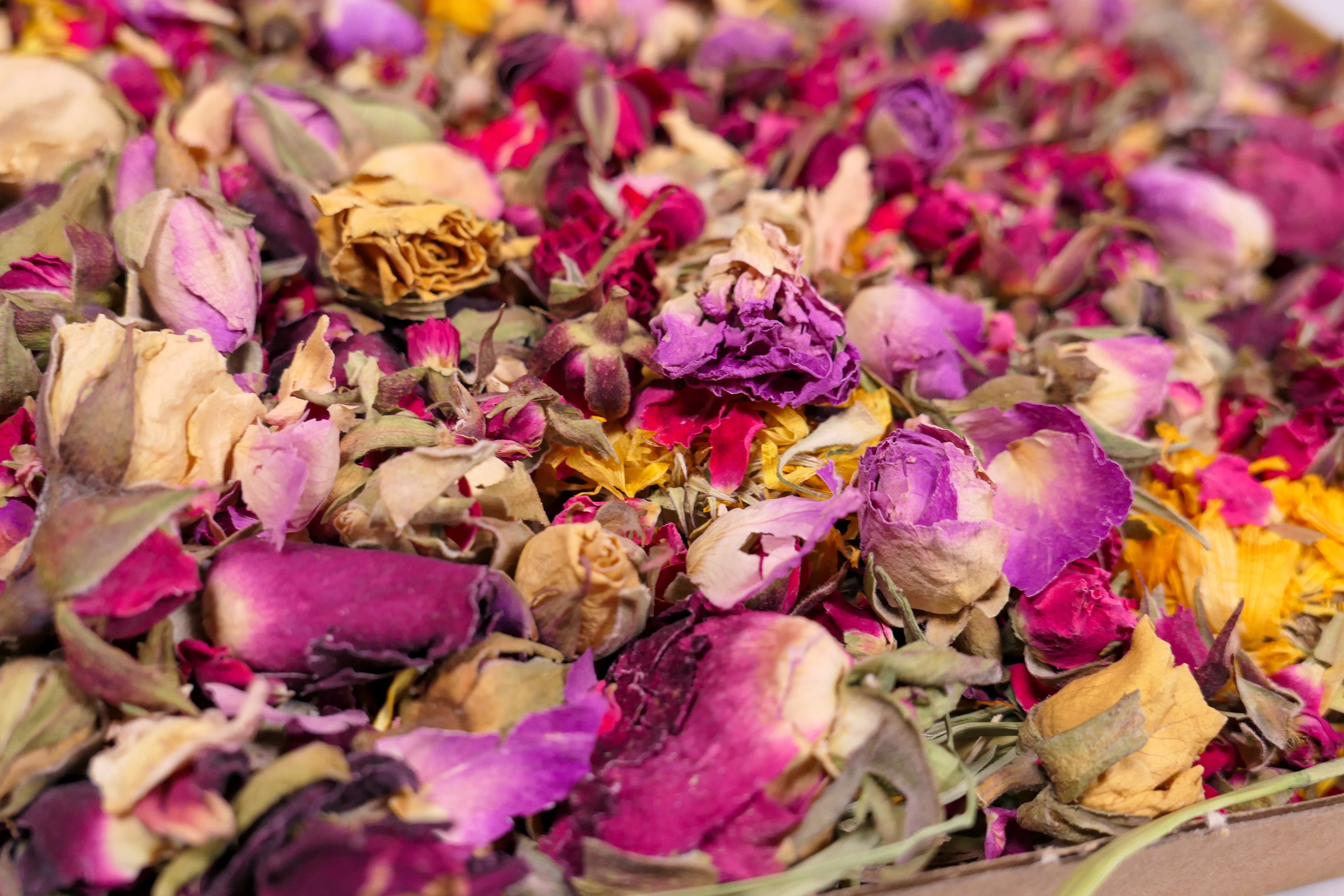 Valentine Forage box