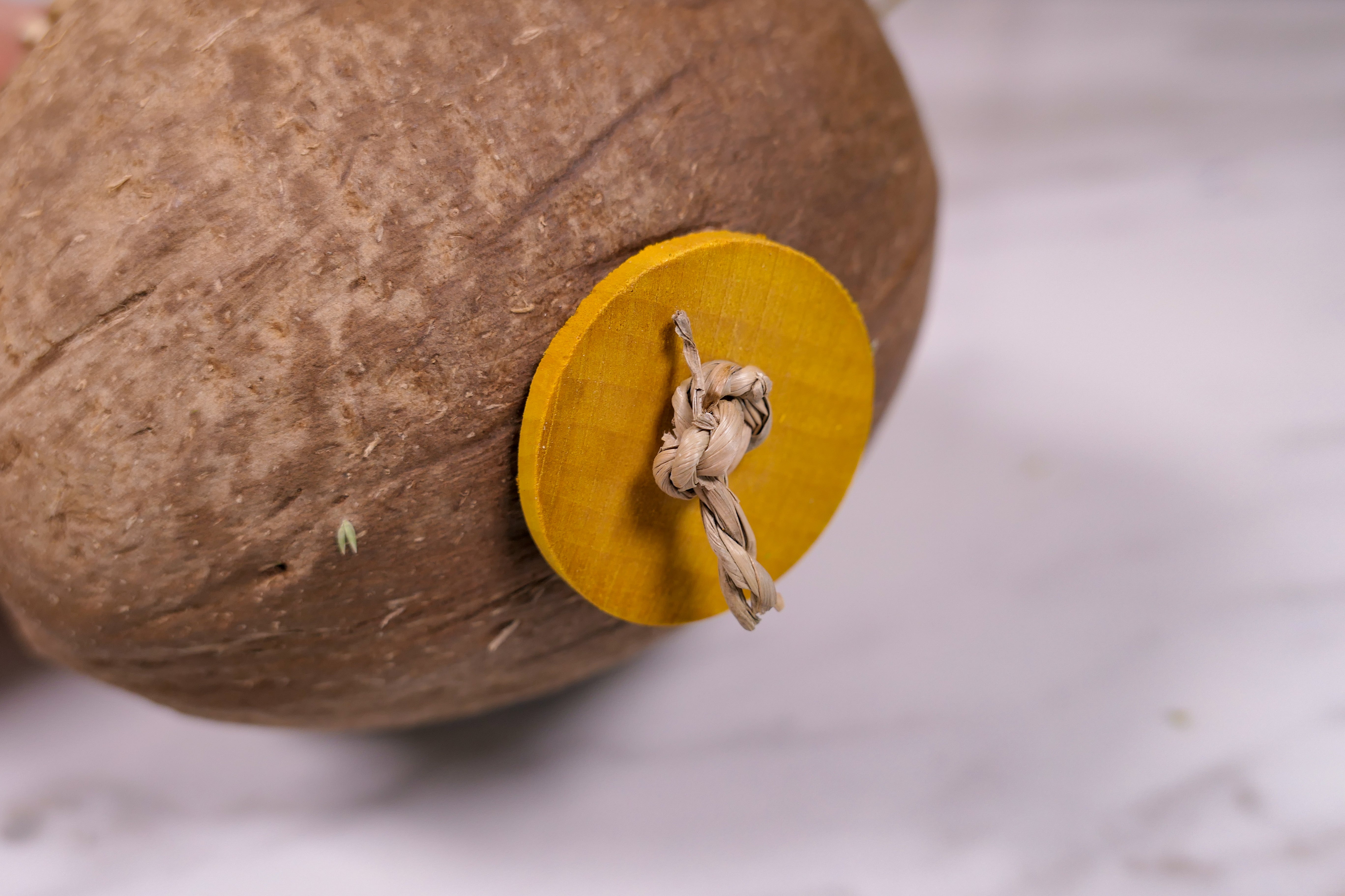 Stuffed Vine Coconut Boat Toy