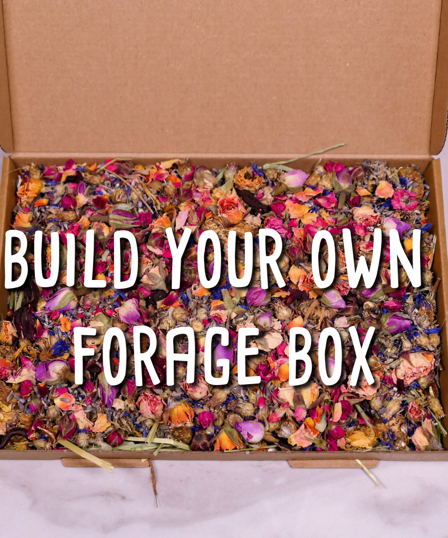 Build your own forage box