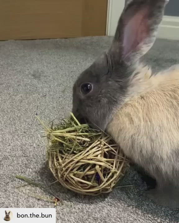 Timothy Hay & Flower Stuffed Vine Nest