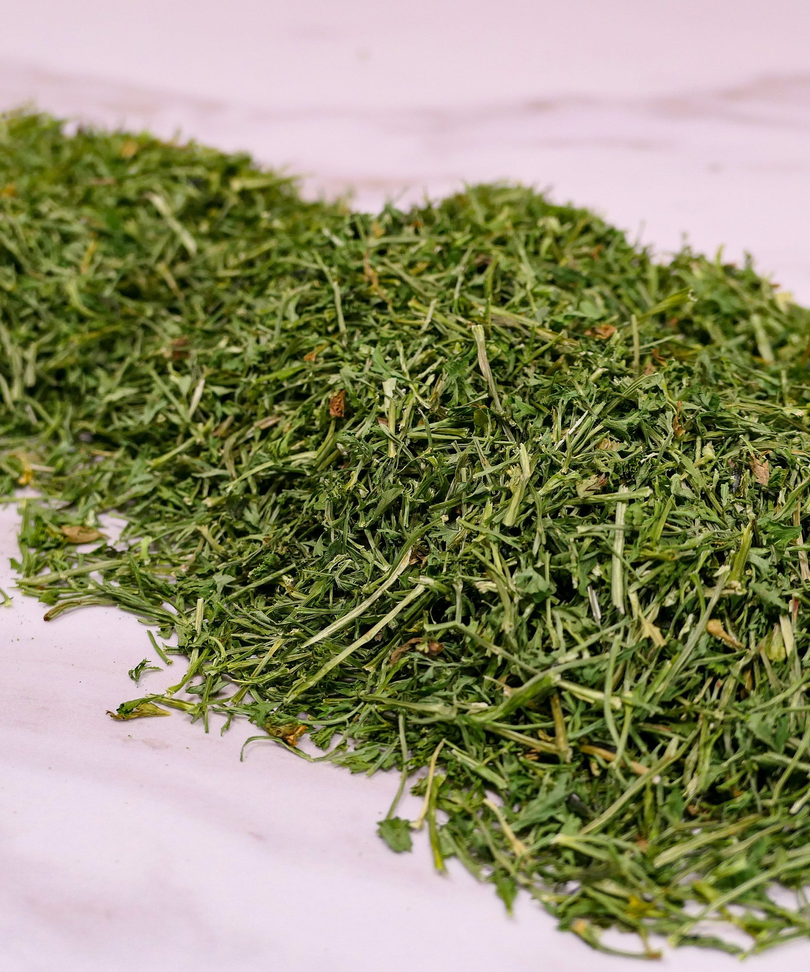 Bunny Forage - Parsley Stalks