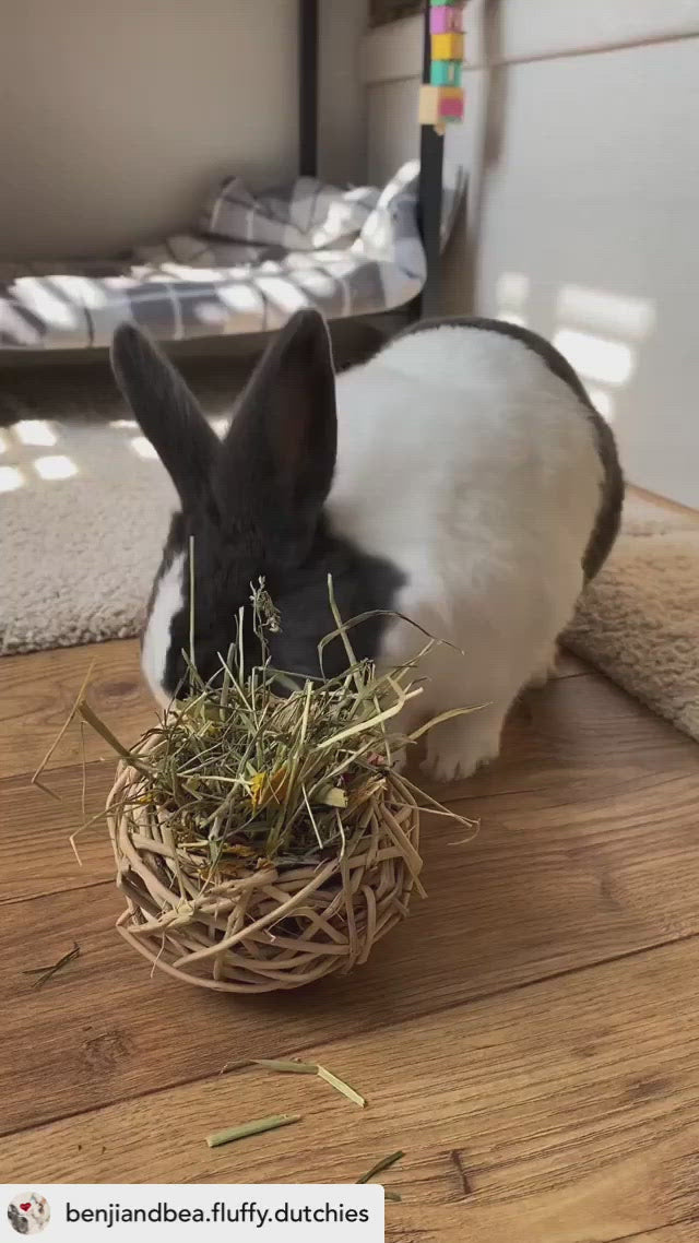 Timothy Hay & Flower Stuffed Vine Nest