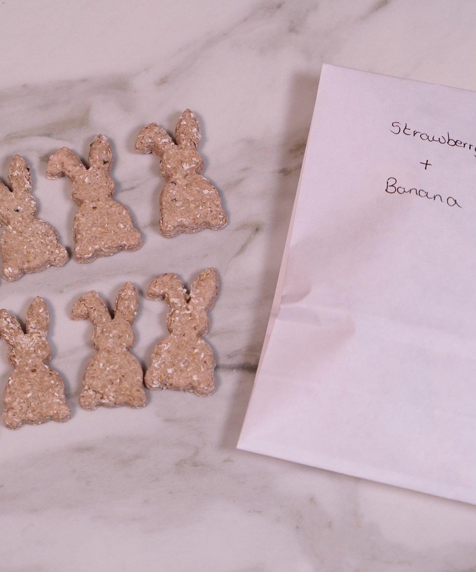Bunny Biscuit Treat Bag