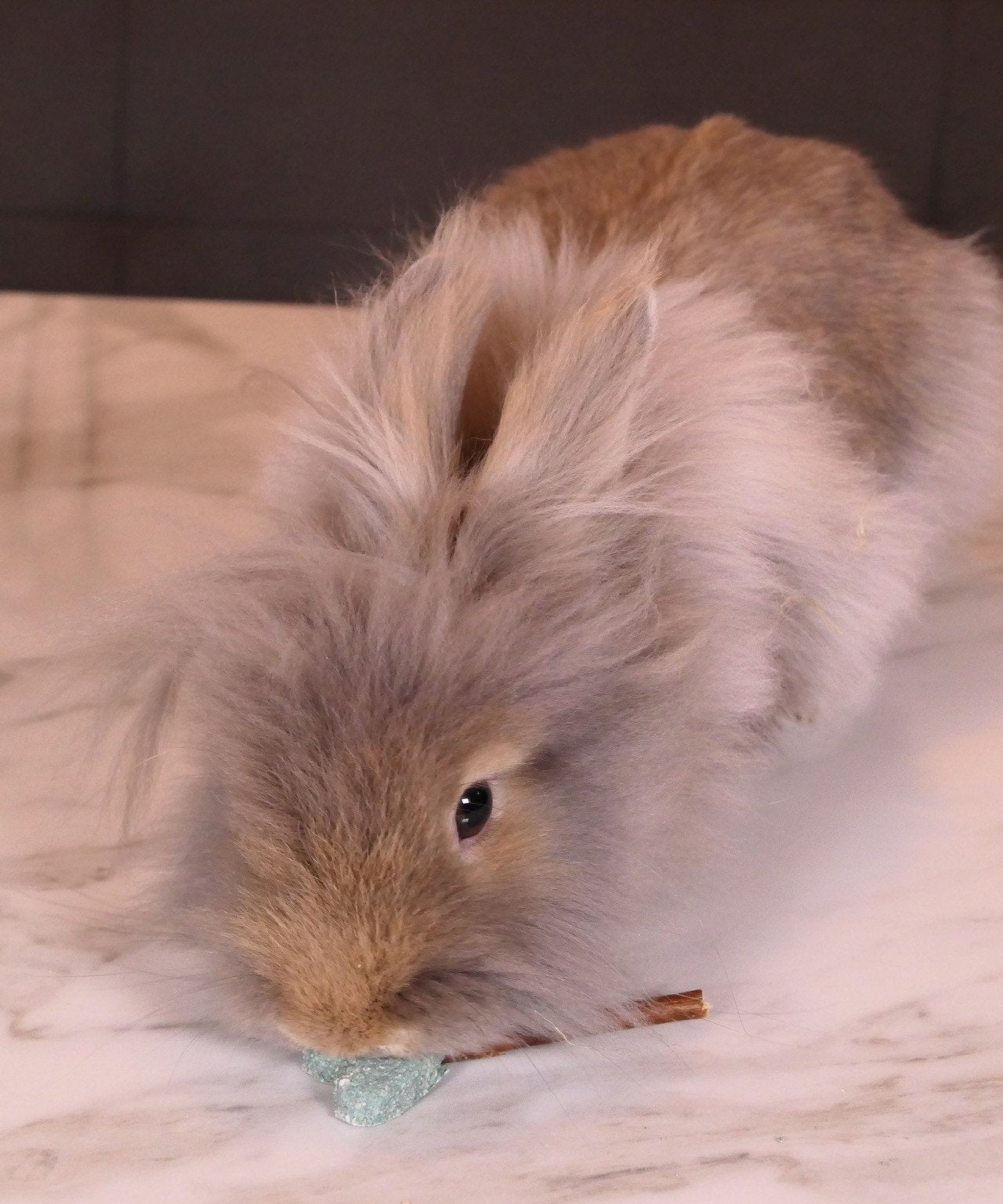 Blue Heart Pops Treat Bag