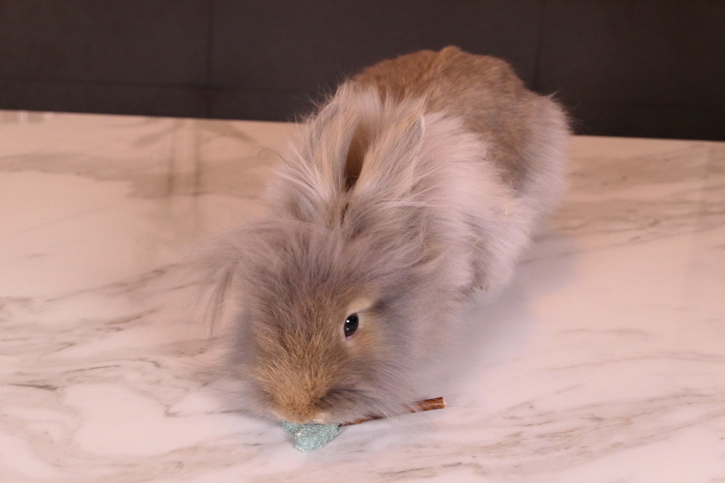 Blue Heart Pops Treat Bag