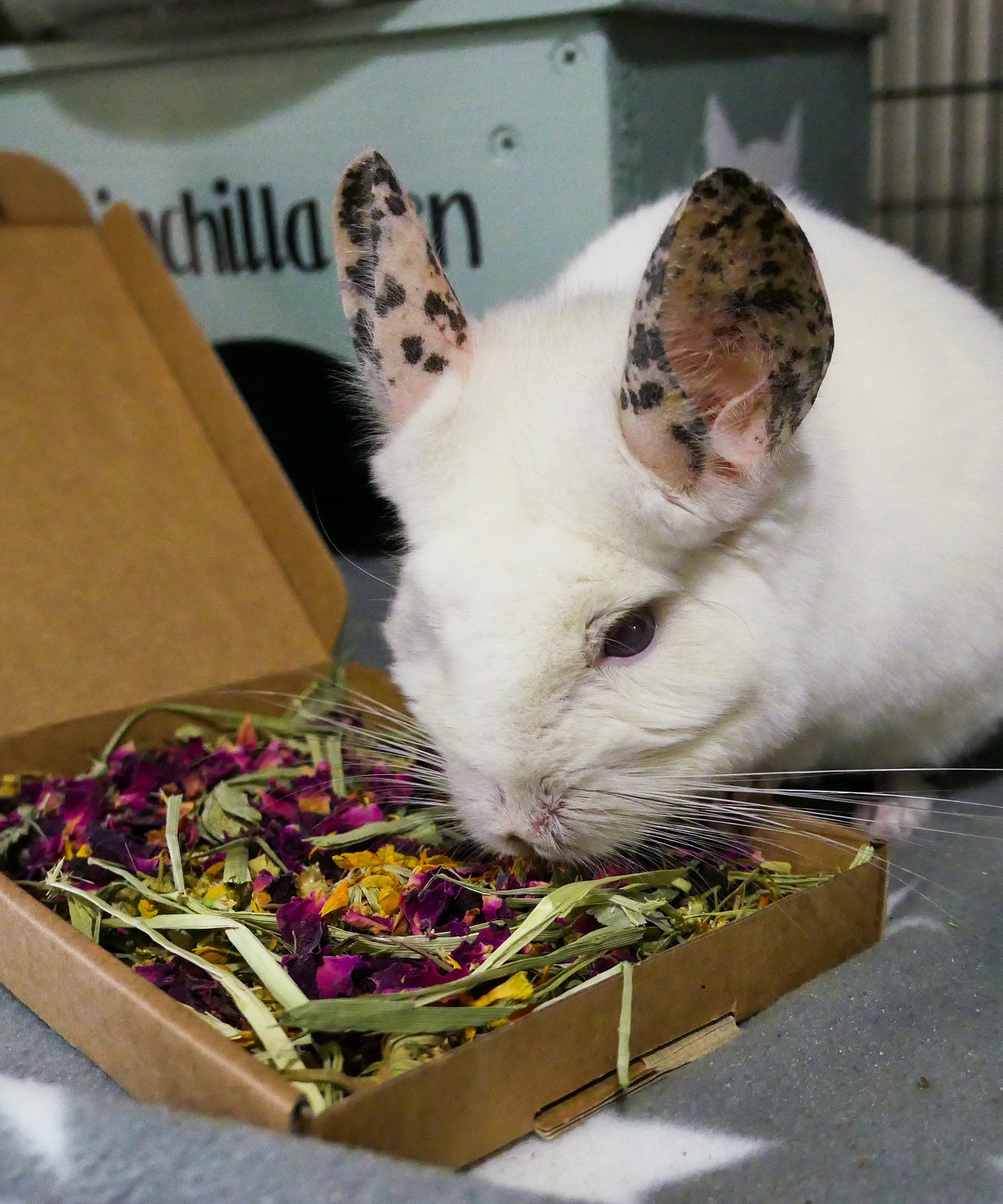 Floral Mini Forage Box