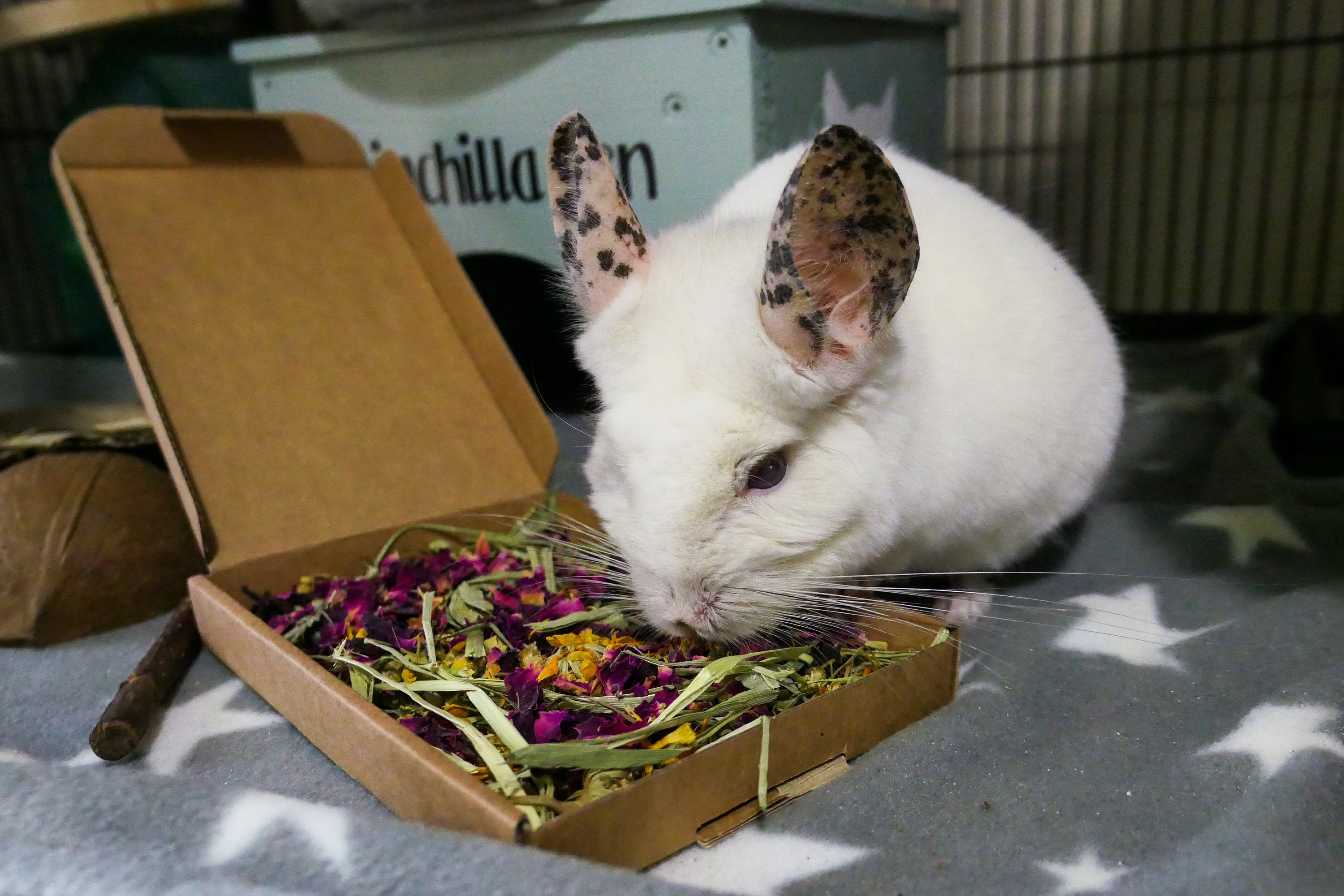 Floral Mini Forage Box