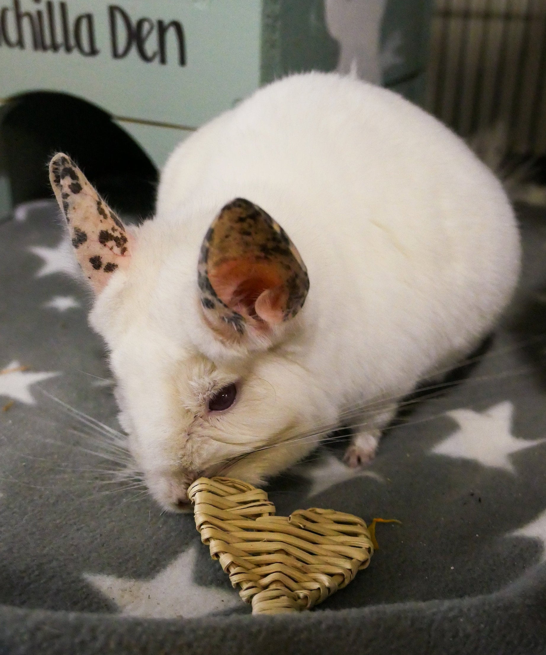 Vine Mini Heart Chew Toy