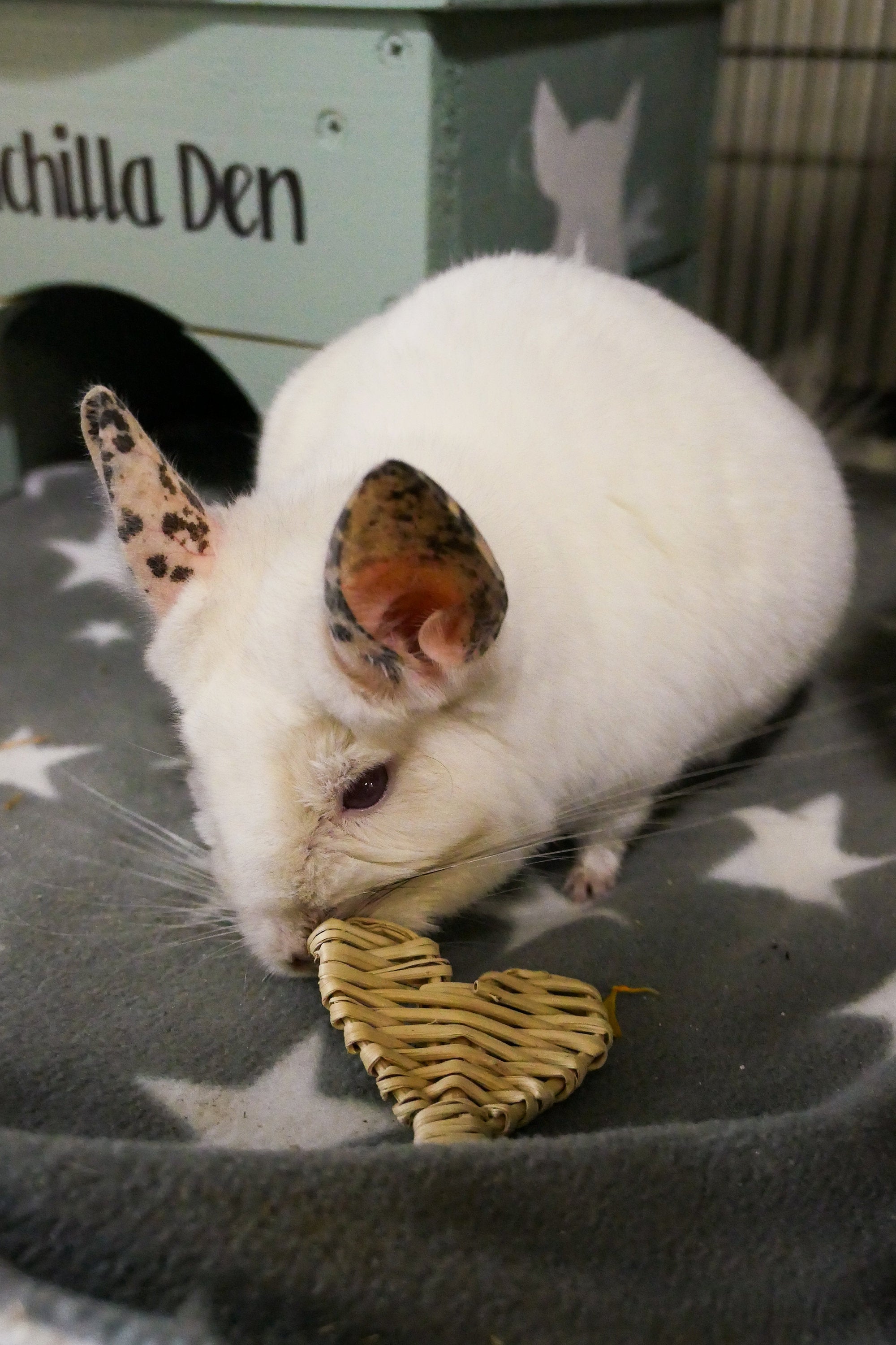 Vine Mini Heart Chew Toy