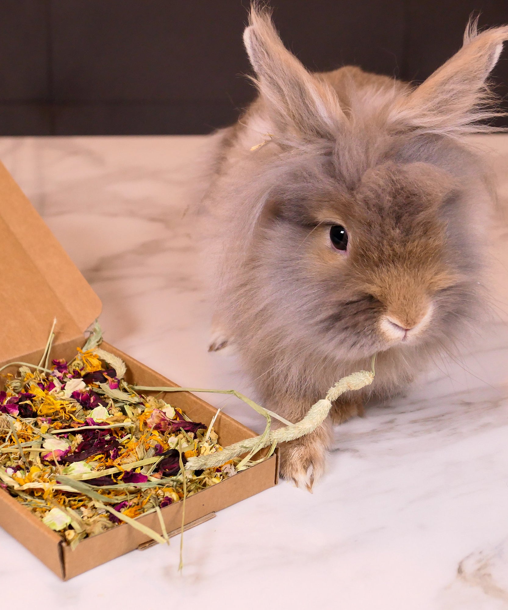 Floral Mini Forage Box