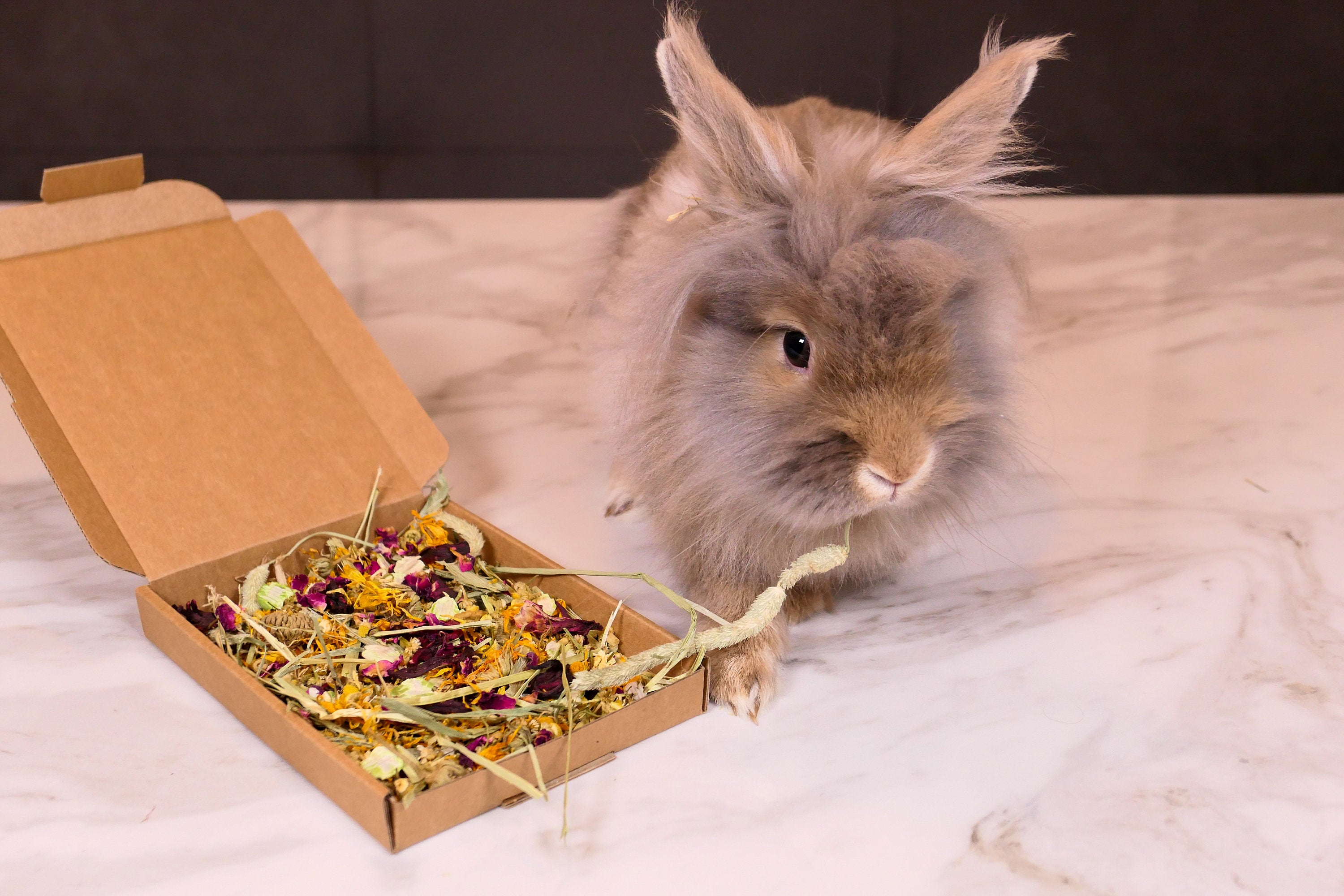 Floral Mini Forage Box