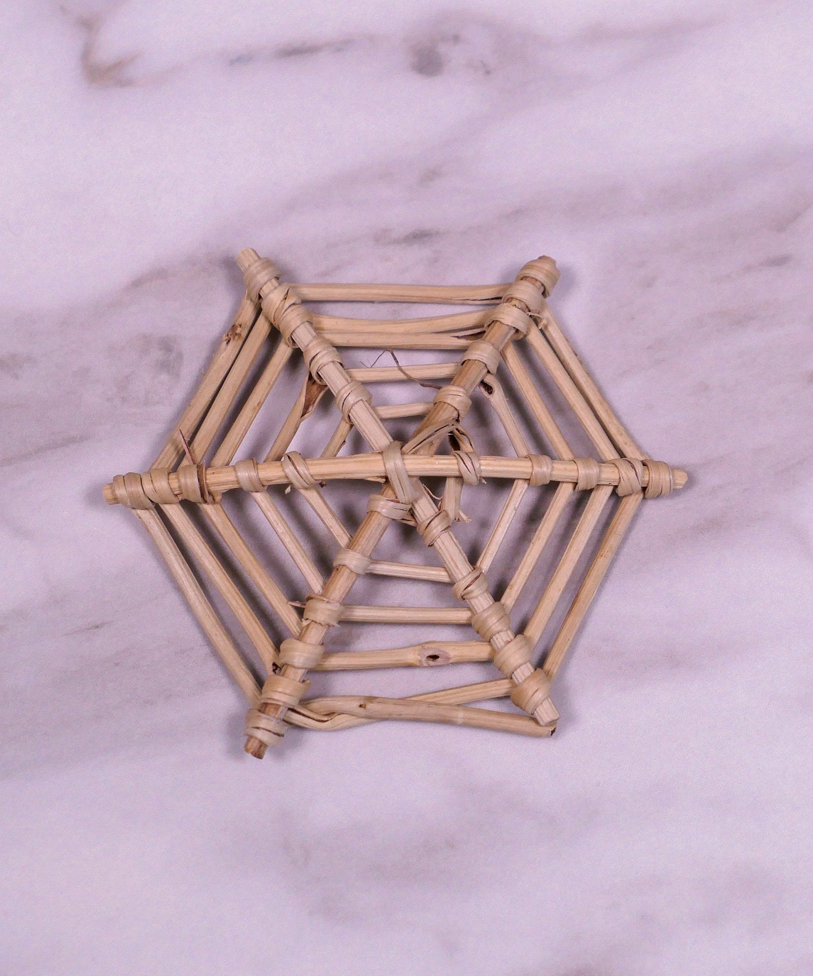 Large Spider Web Vine Chew Toy