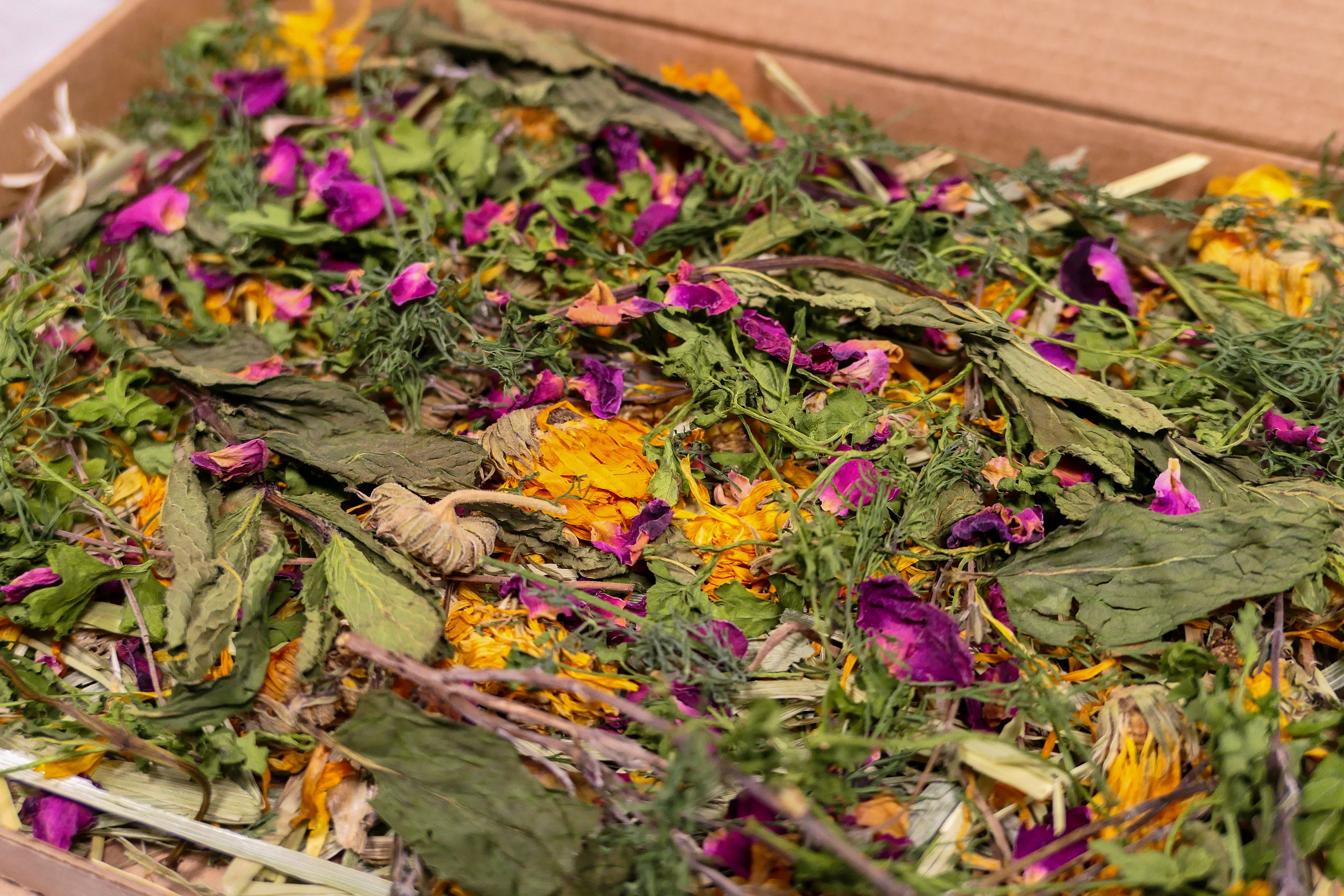 Herb Garden Forage Box