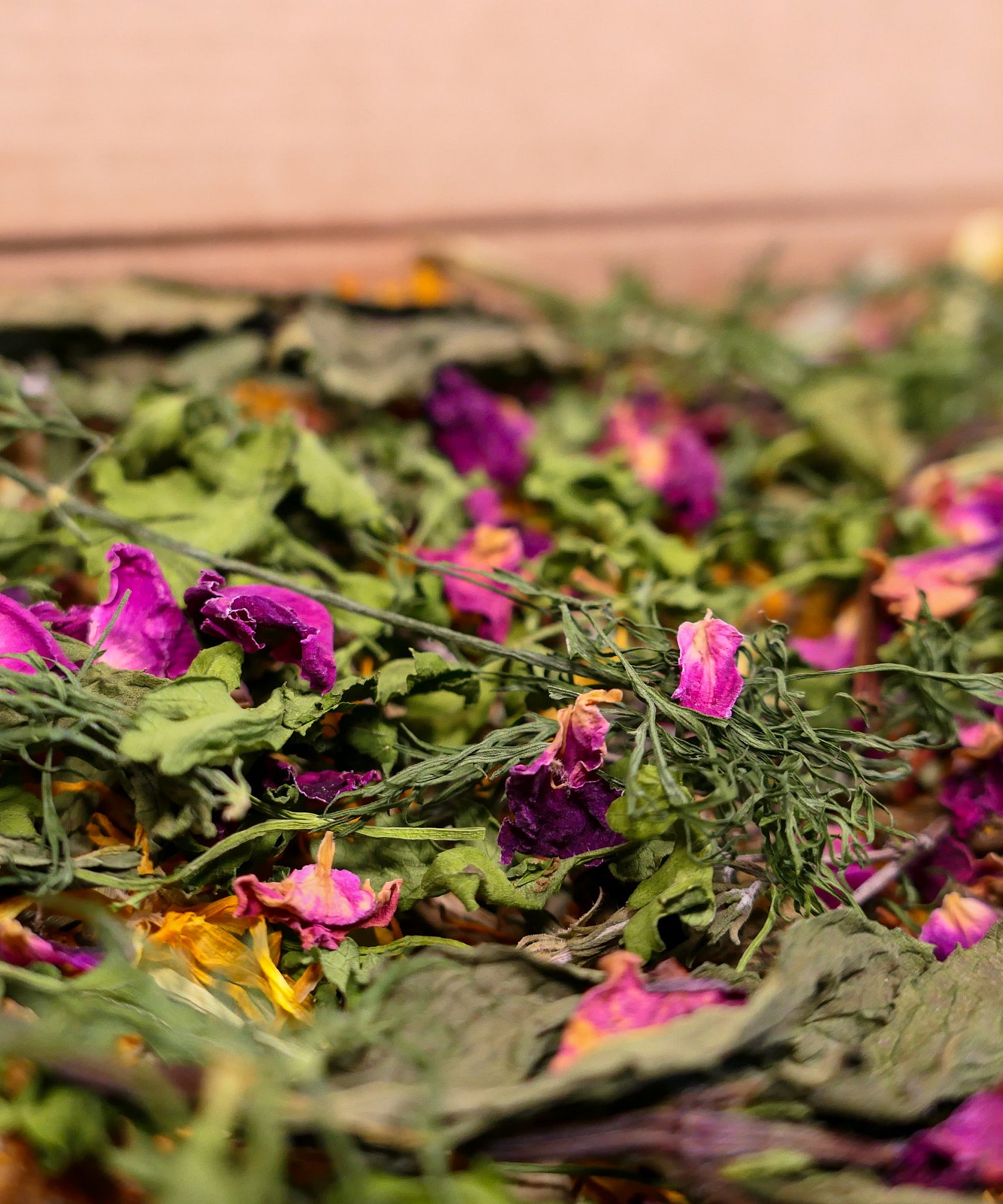 Herb Garden Forage Box