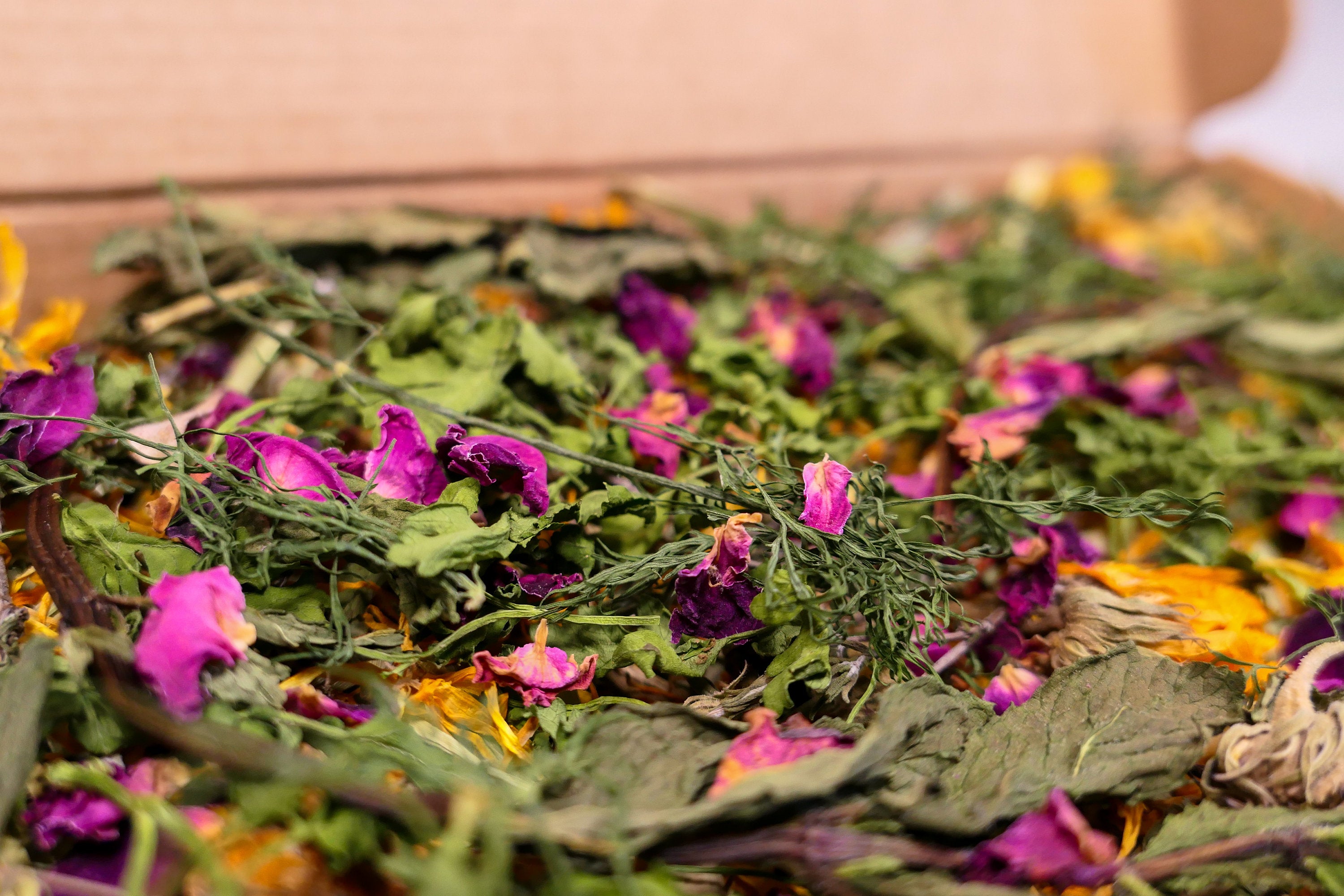Herb Garden Forage Box