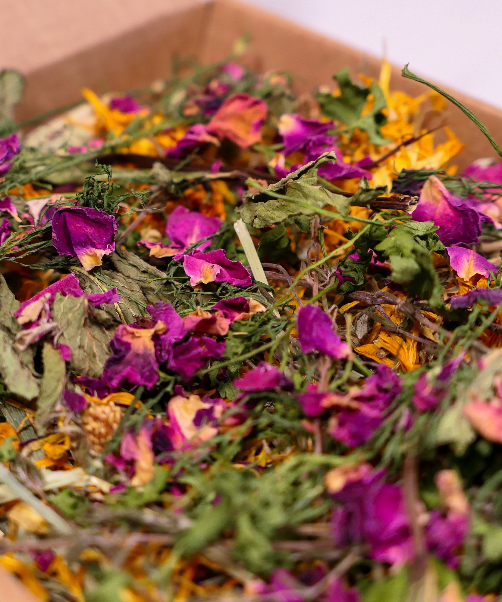 Herb Garden Mini Forage Box