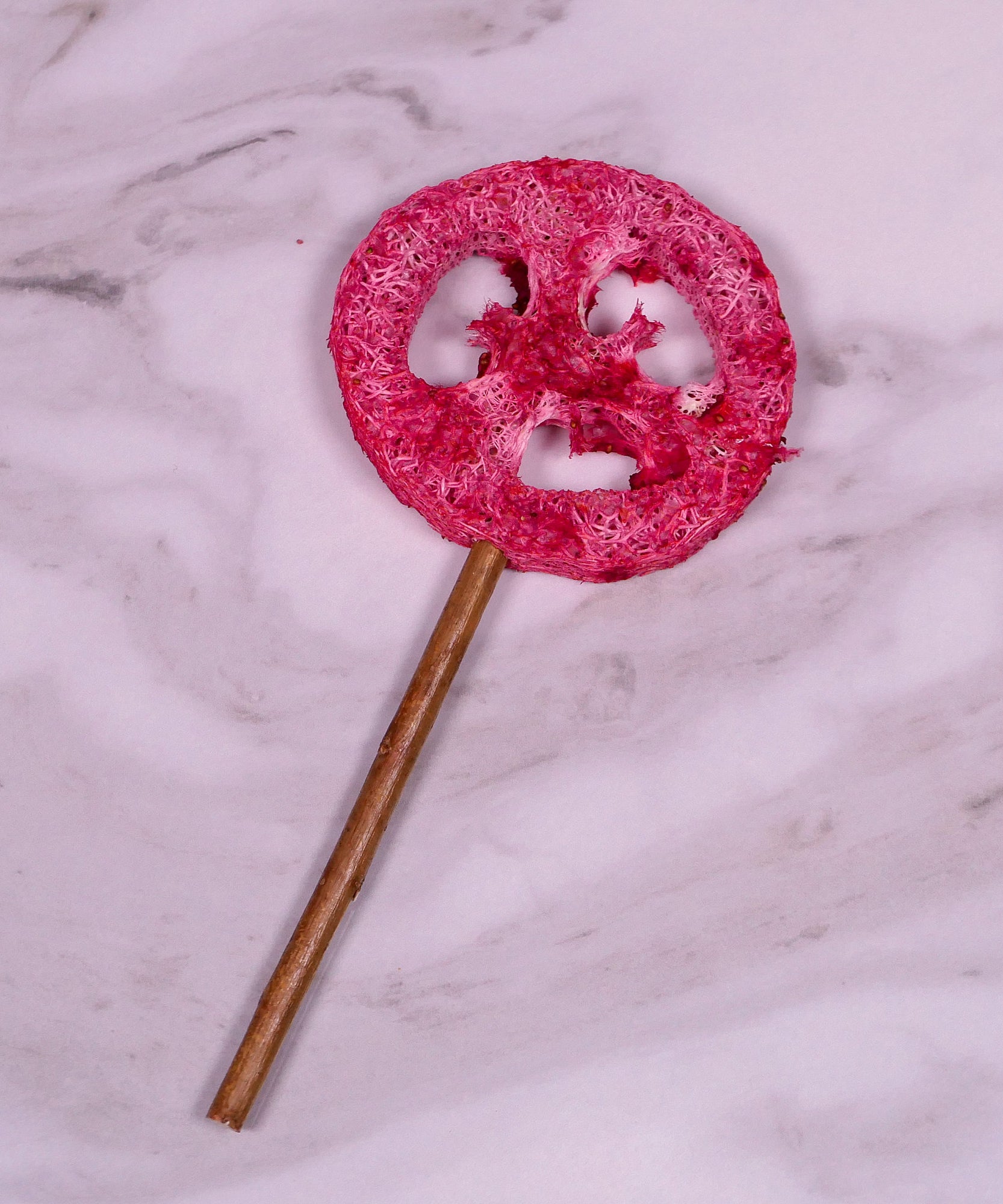 Loofah Pops
