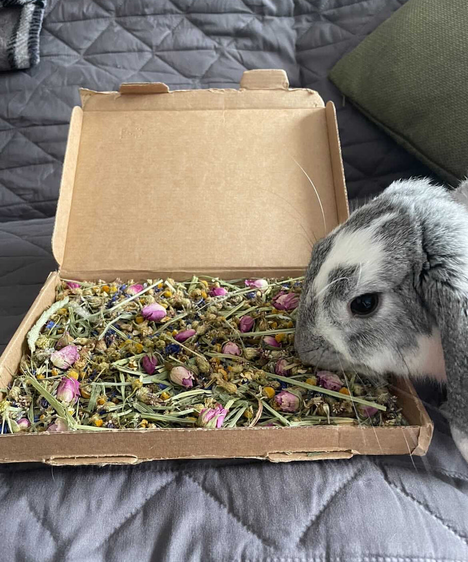 Calming Twilight Forage Box