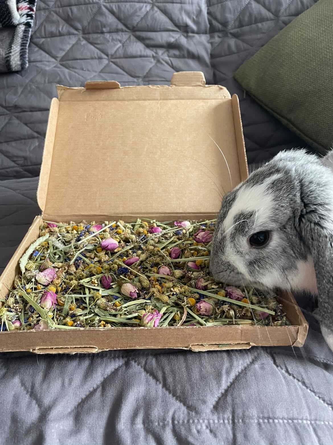 Calming Twilight Forage Box