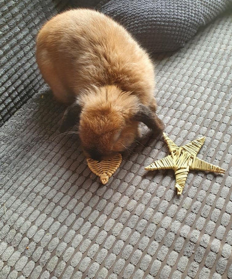 Vine Mini Heart Chew Toy