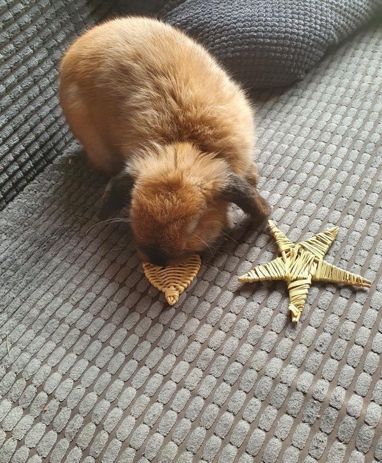 Vine Mini Heart Chew Toy