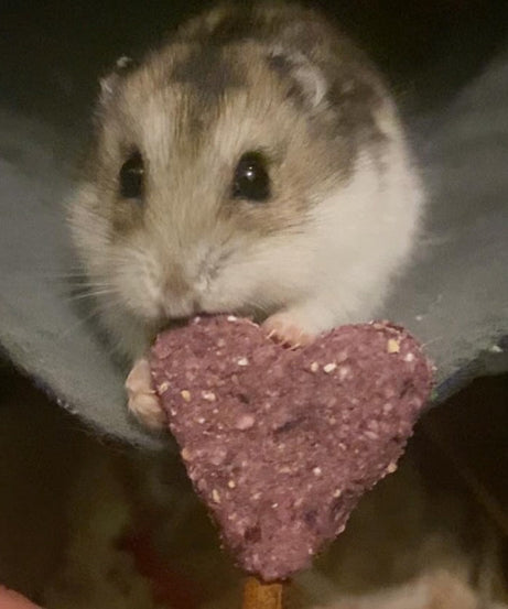 Heart Pops Treat Bag