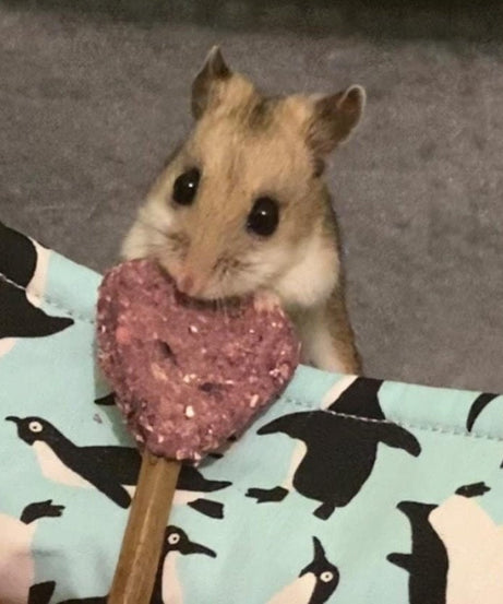 Heart Pops Treat Bag