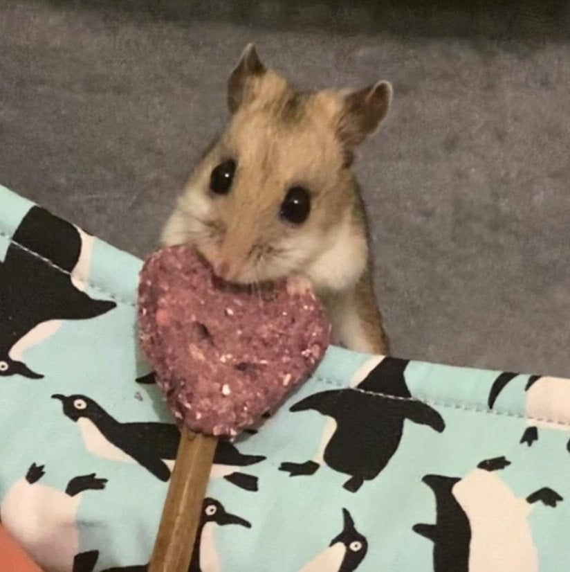 Heart Pops Treat Bag