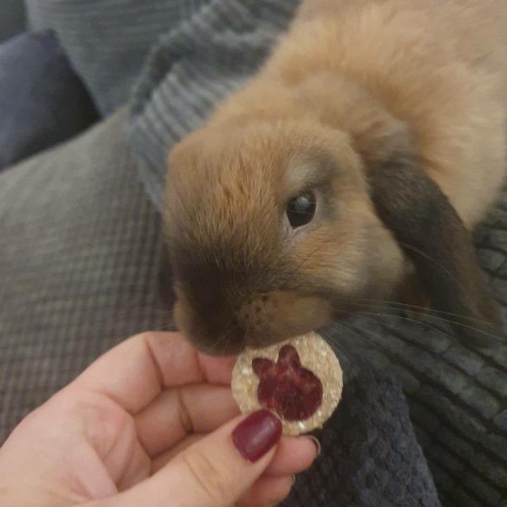Jam Sandwich Cookies Treat Bag