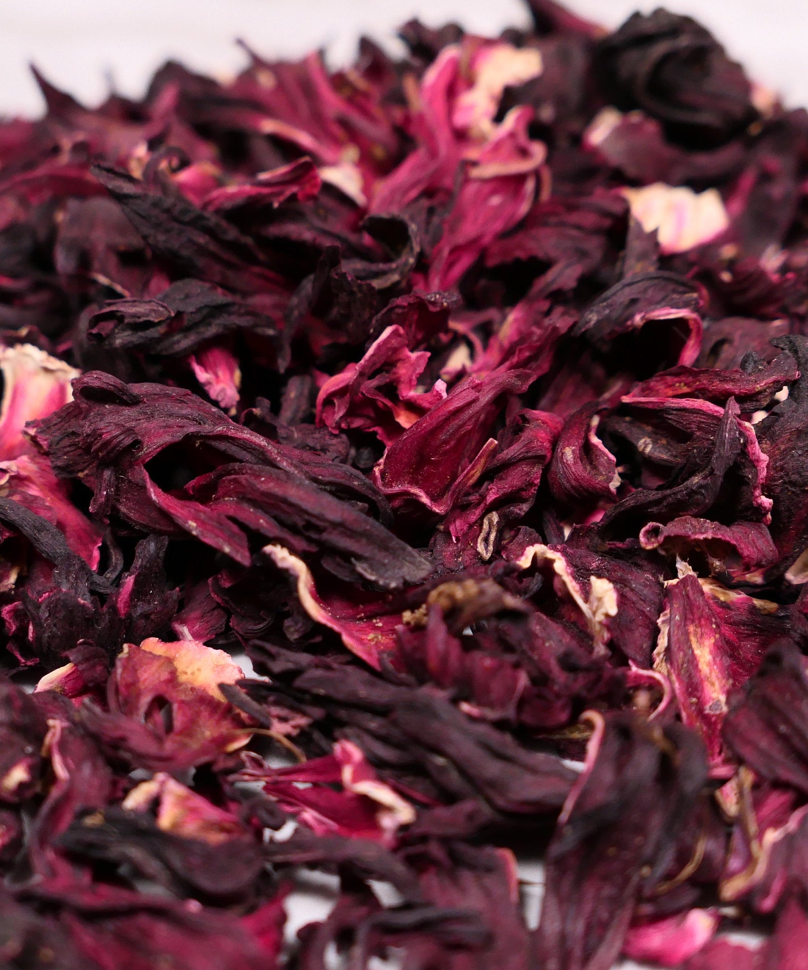 Forage - Hibiscus