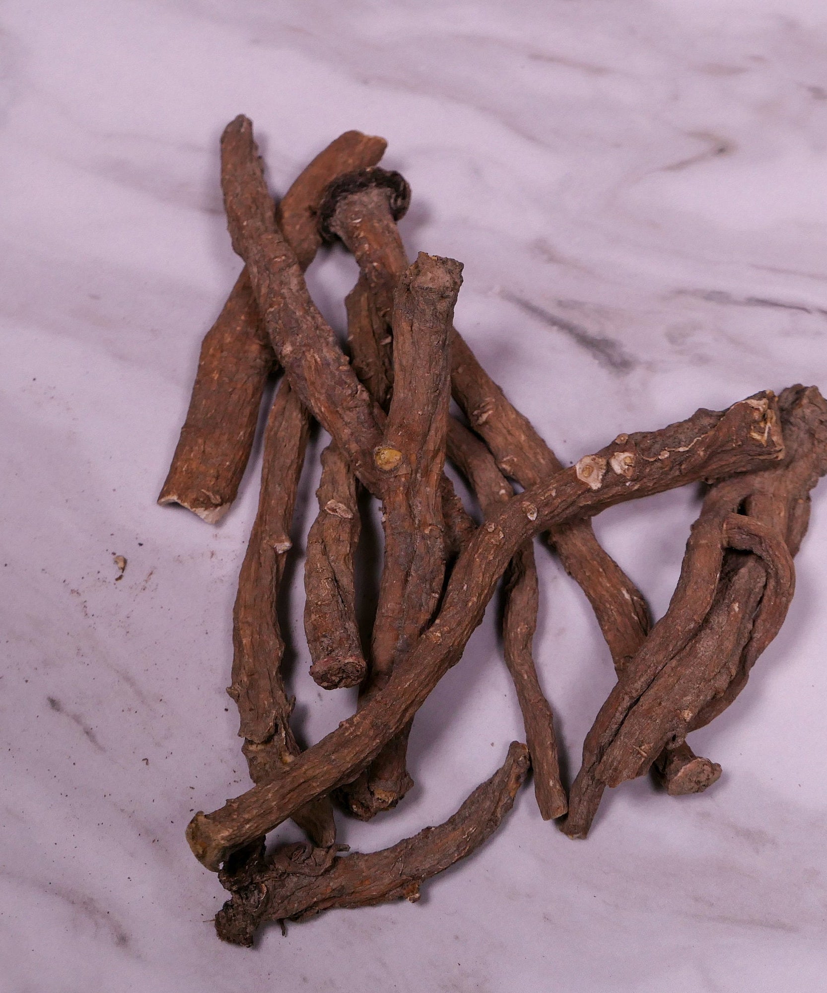 Forage - Dandelion Root